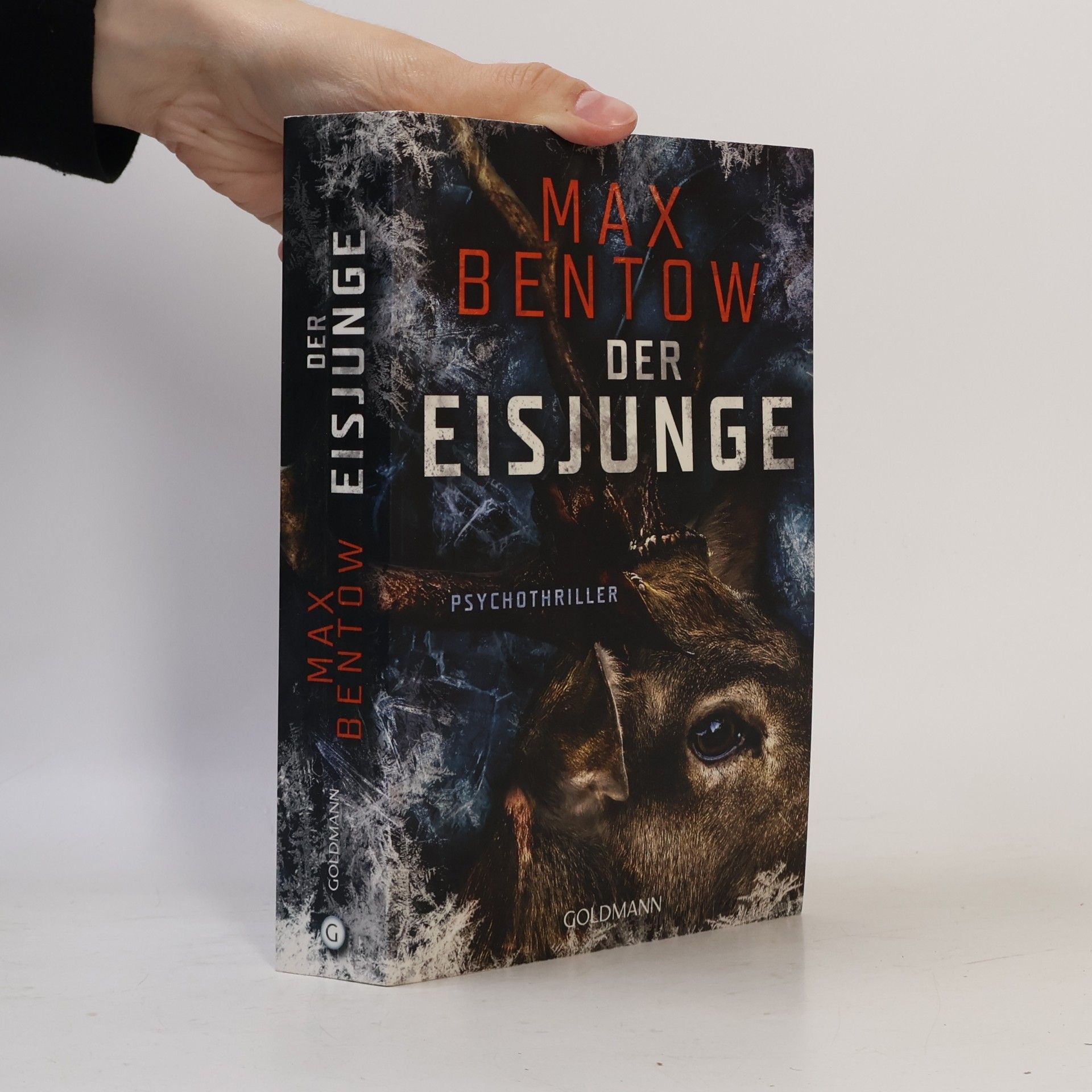 Der Eisjunge