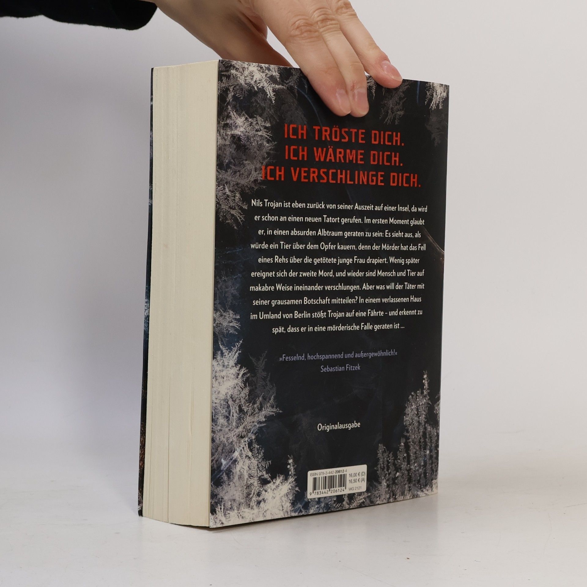 Max Bentow Der Eisjunge