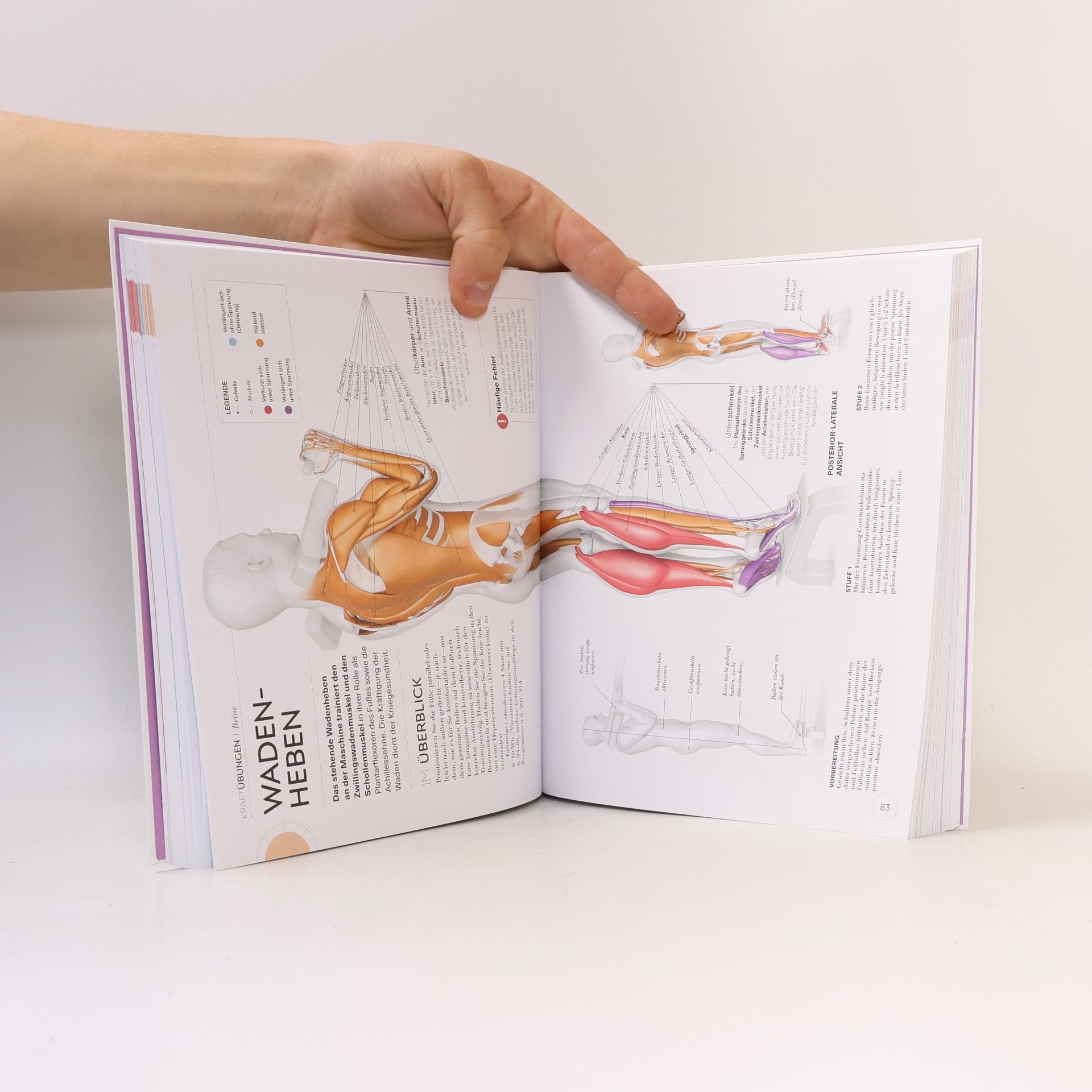 Austin Current Krafttraining. Die Anatomie verstehen