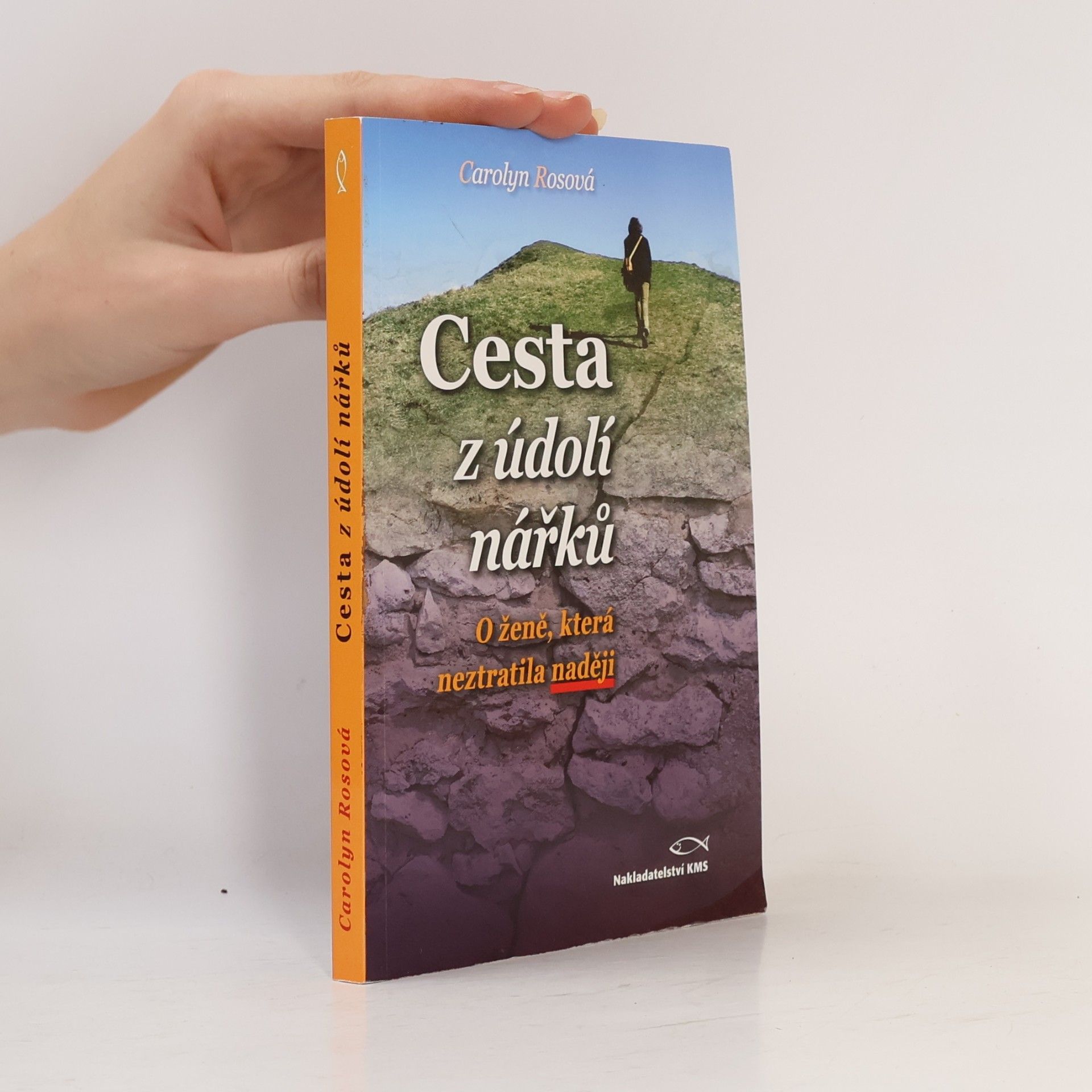 Carolyn Ros Cesta z údolí nářků