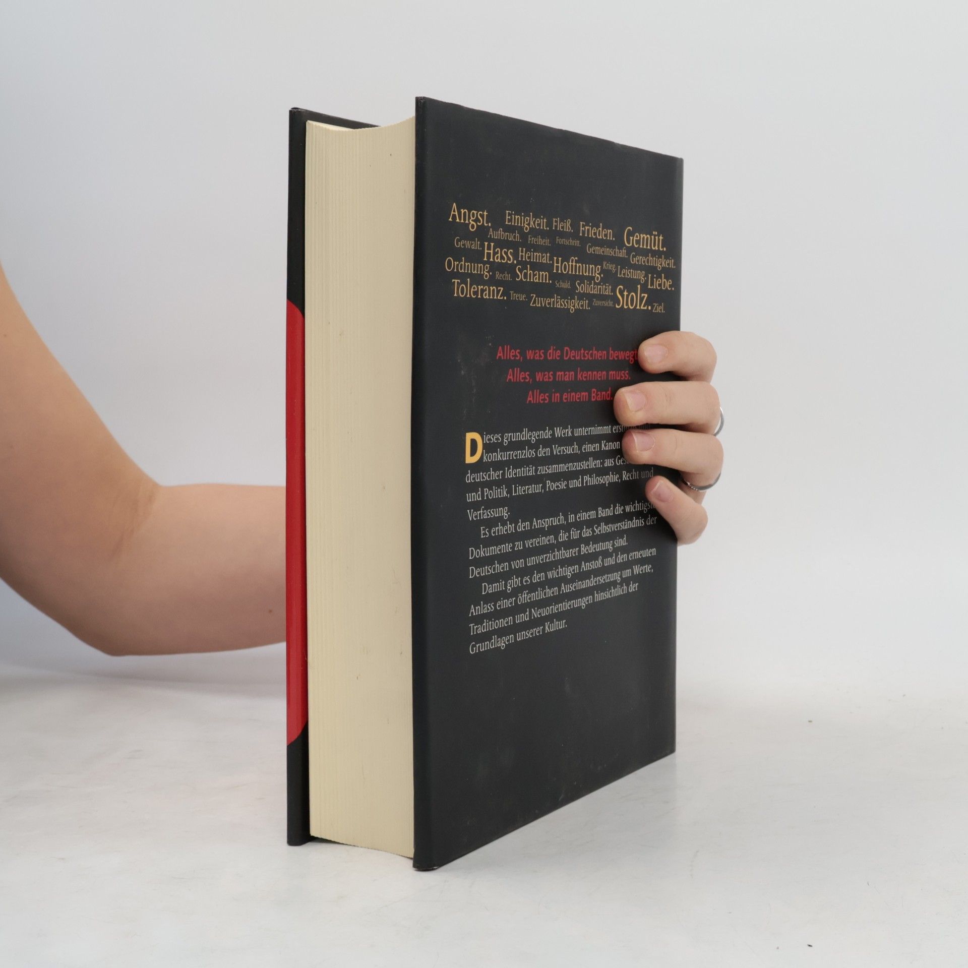 Kolektiv autorů Das Buch der Deutschen