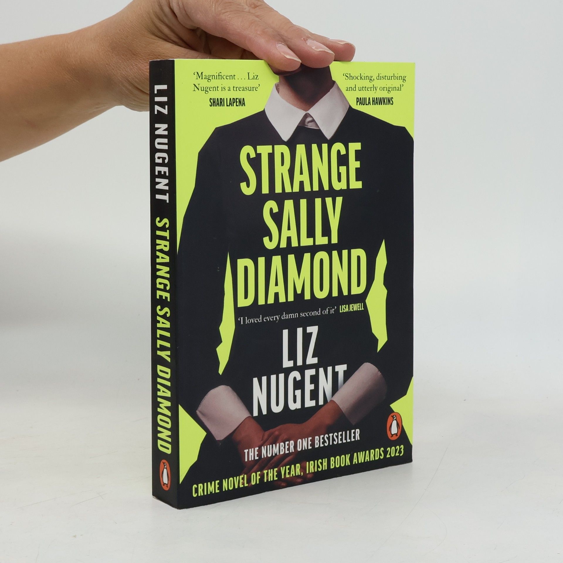 Liz Nugent Strange Sally Diamond