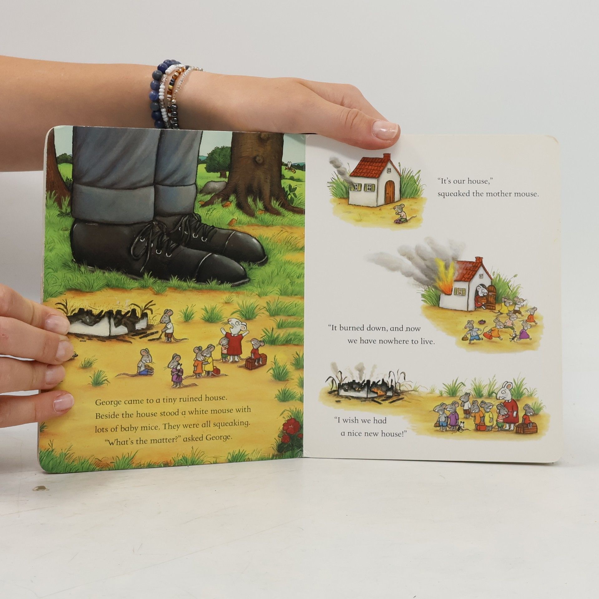 Julia Donaldson The smartest giant in town