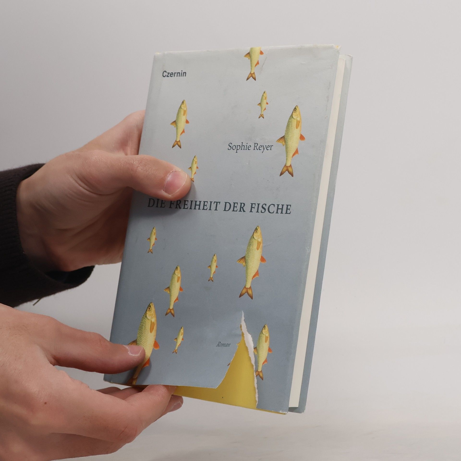 Sophie Reyer Die Freiheit der Fische