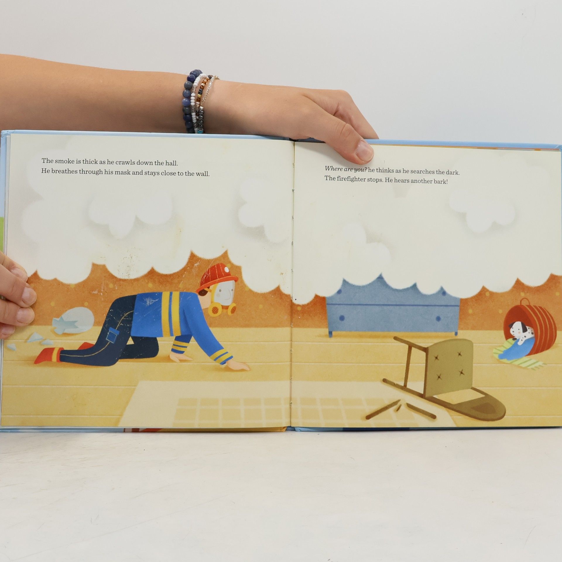 Jenny Goebel The Firefighter (Penguin Core Concepts)