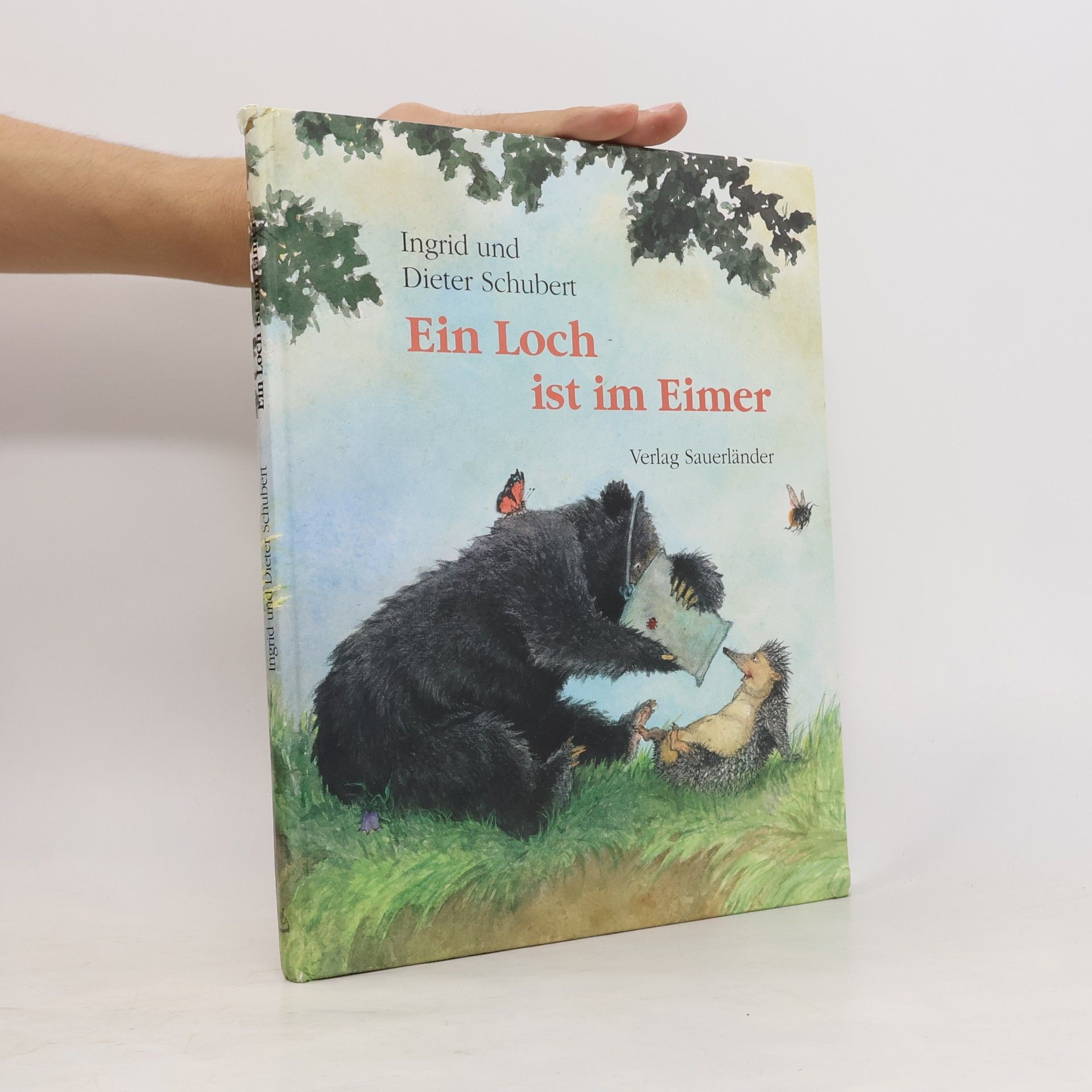 Ingrid Schubert Ein Loch ist im Eimer