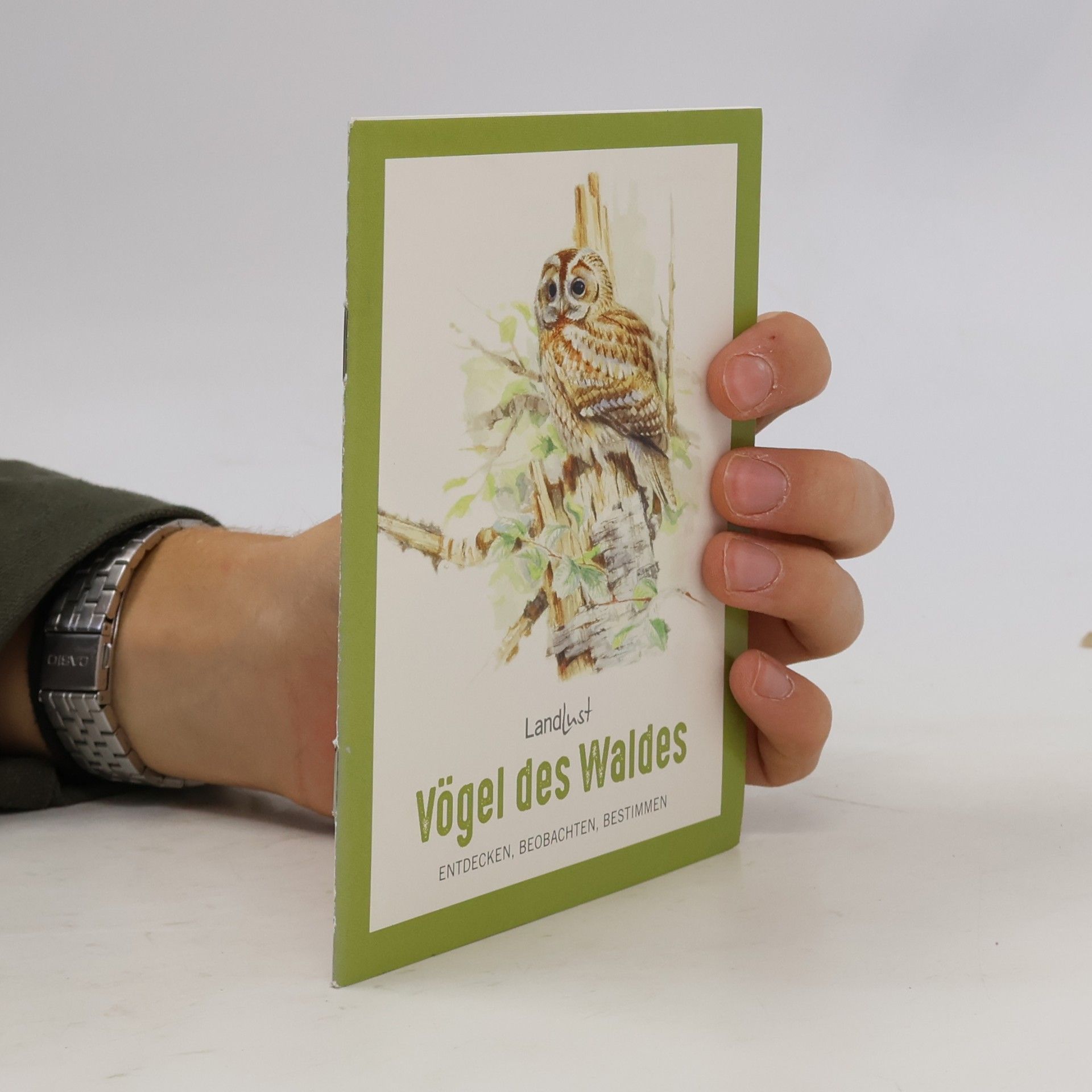 Autorenkollektiv Vögel des Waldes
