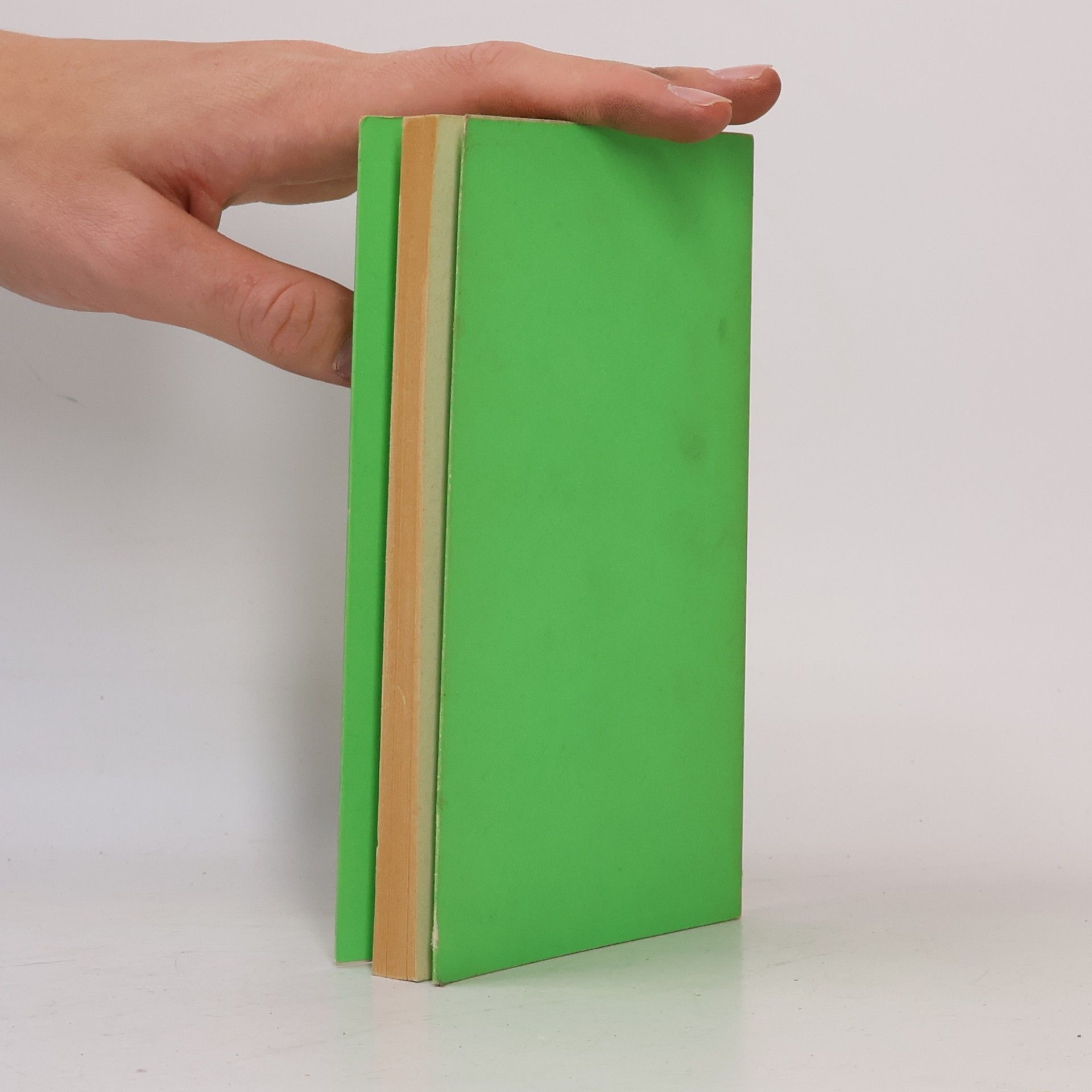 Francis Ponge Texte zur Kunst
