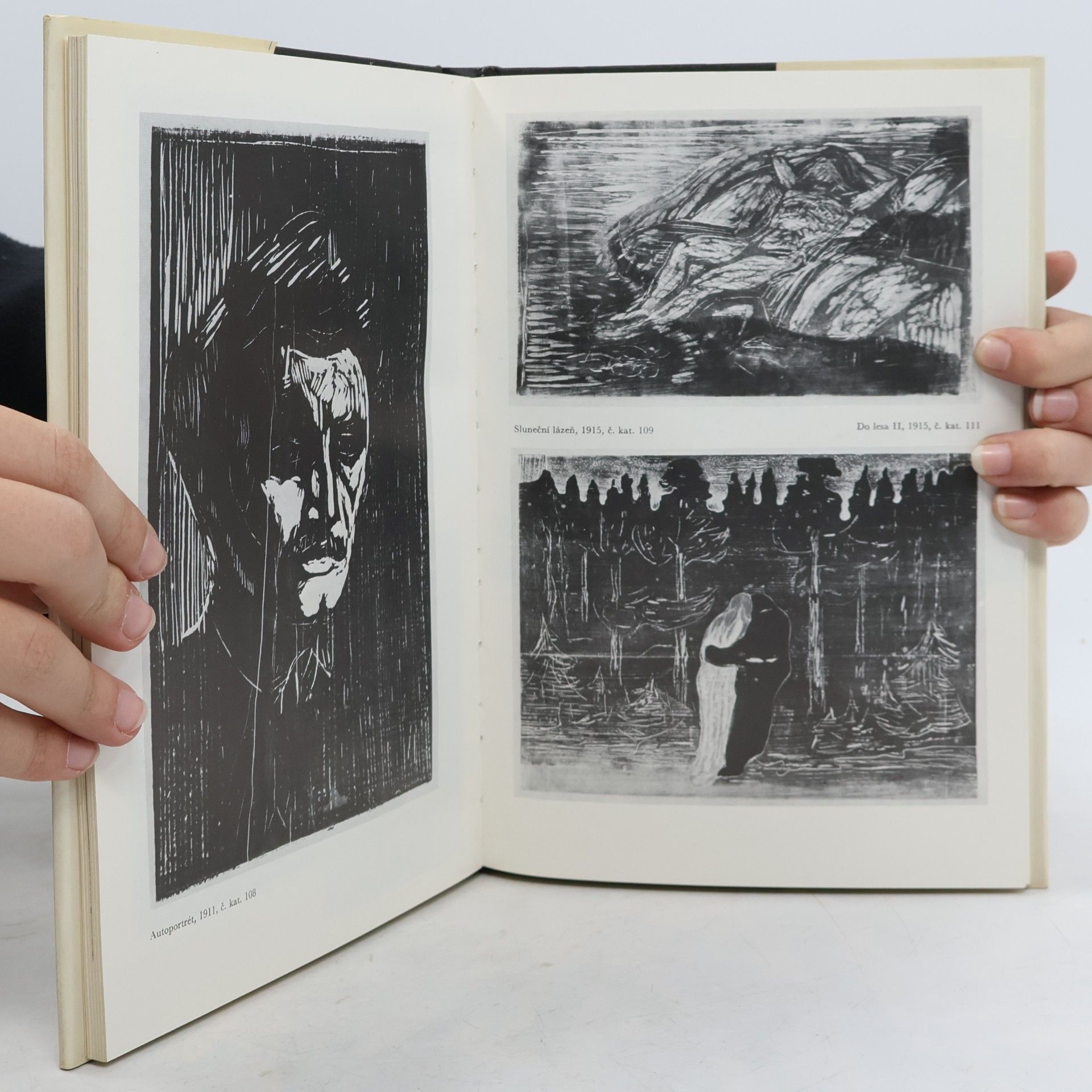 Jiří T. Kotalík Edvard Munch a české umění