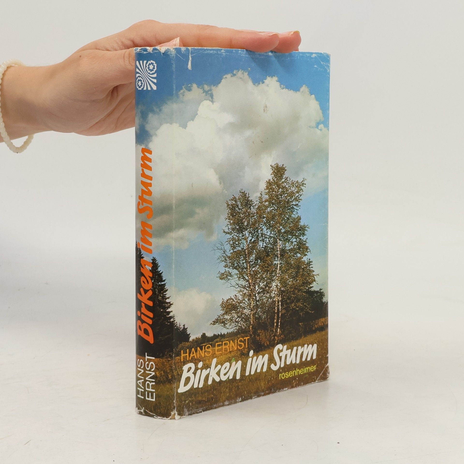 Hans Ernst Birken im Sturm. Roman