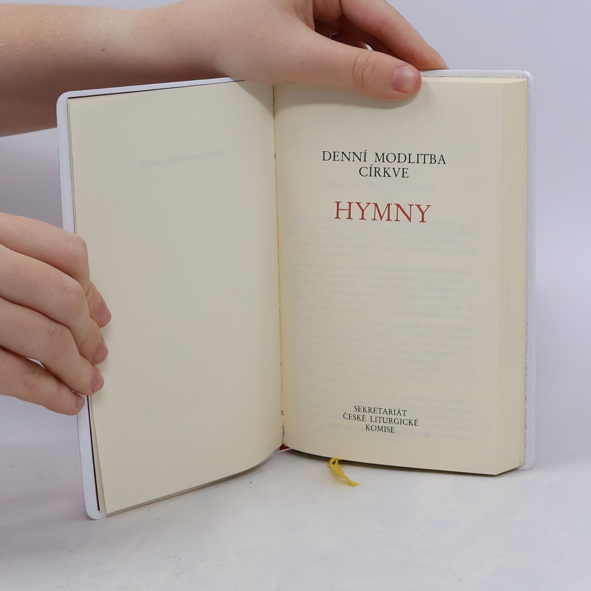 Autorenkollektiv Denní modlitba církve - hymny