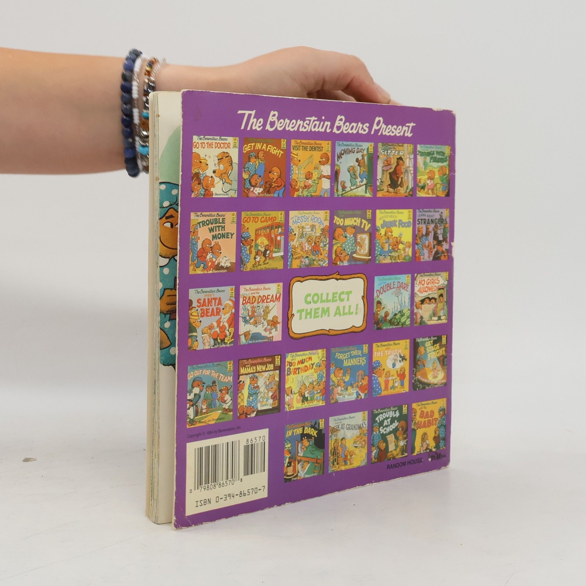 Stan Berenstain Berenstain Bears And Too Much TV