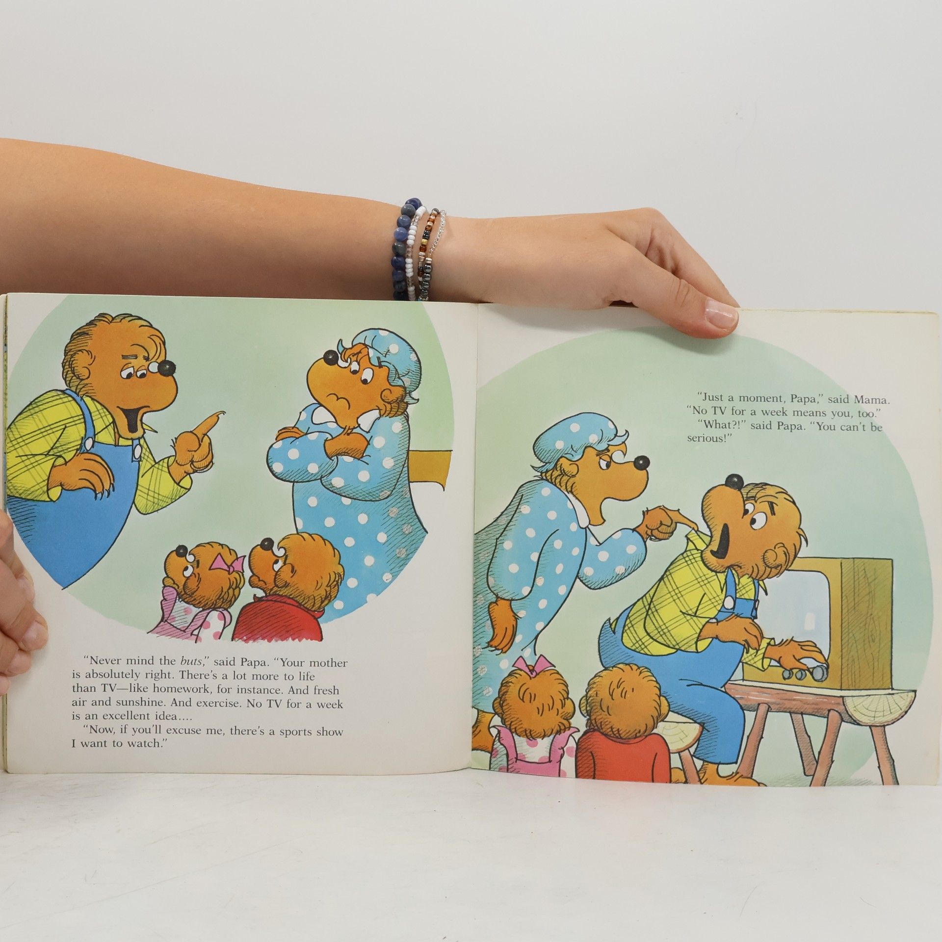 Stan Berenstain Berenstain Bears And Too Much TV