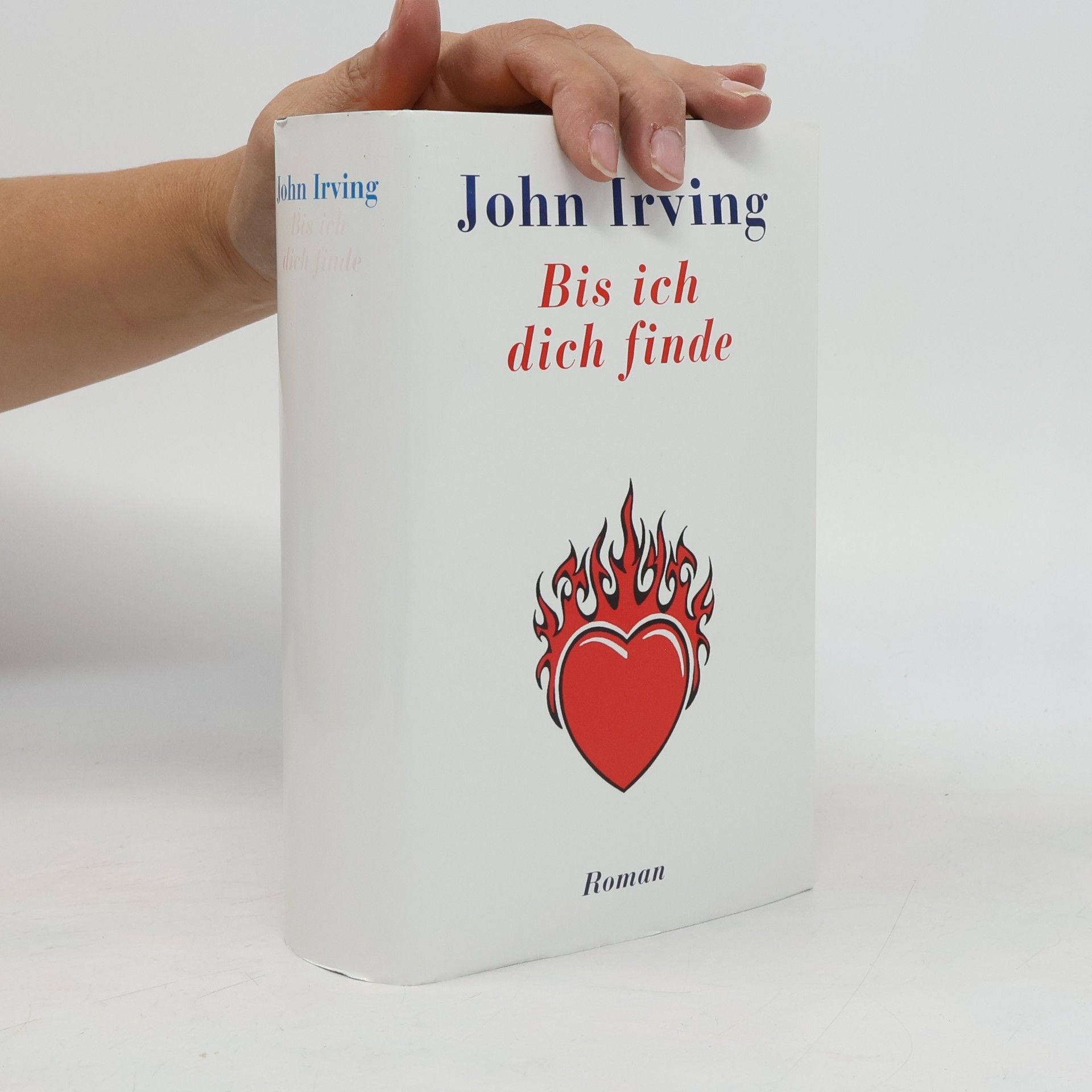 John Irving Bis ich dich finde