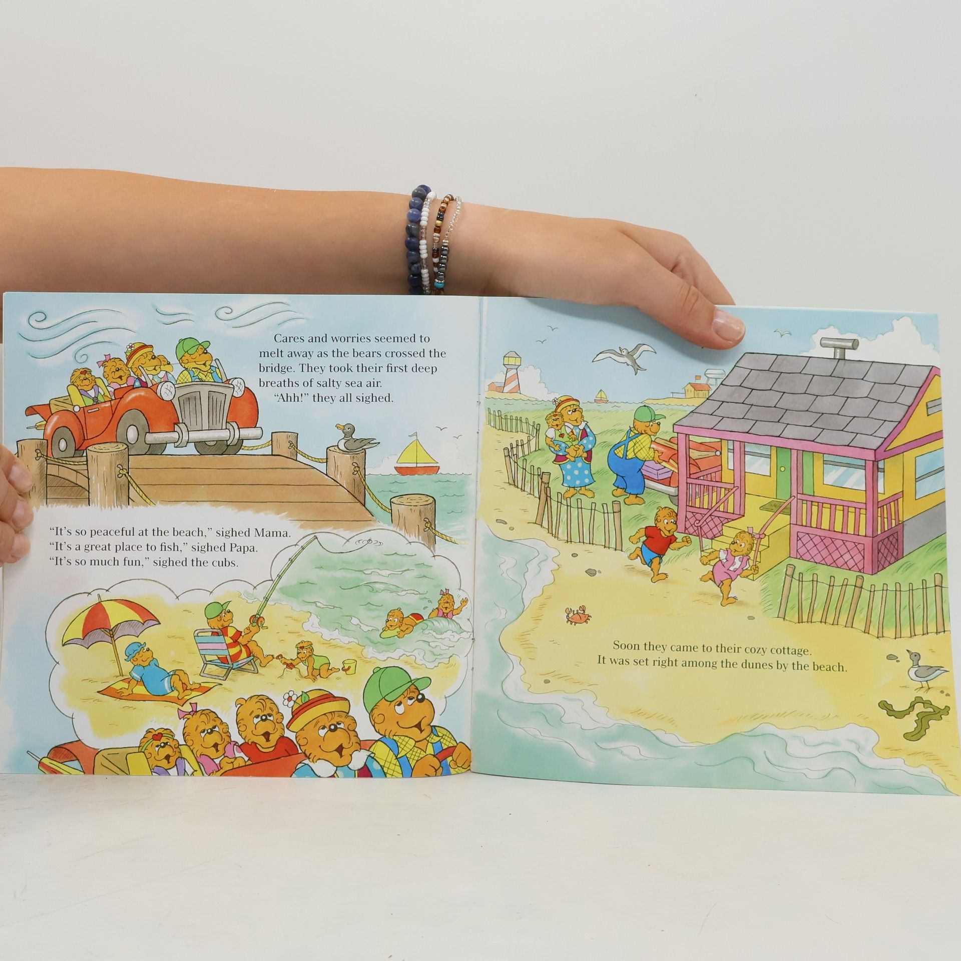 Mike Berenstain The Berenstain Bears Pirate Adventure