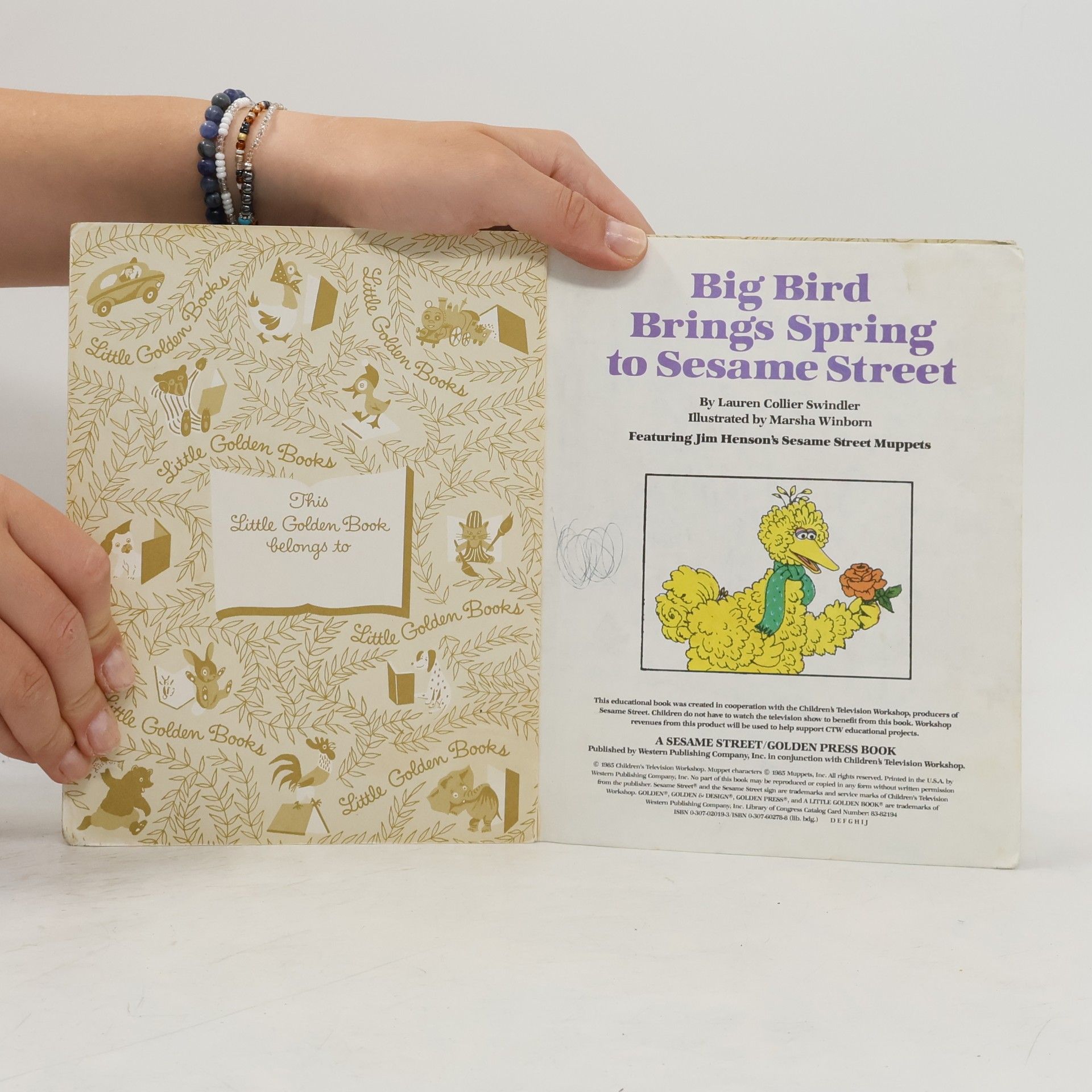 Lauren Collier Swindler Big Bird Brings Spring to Sesame Street