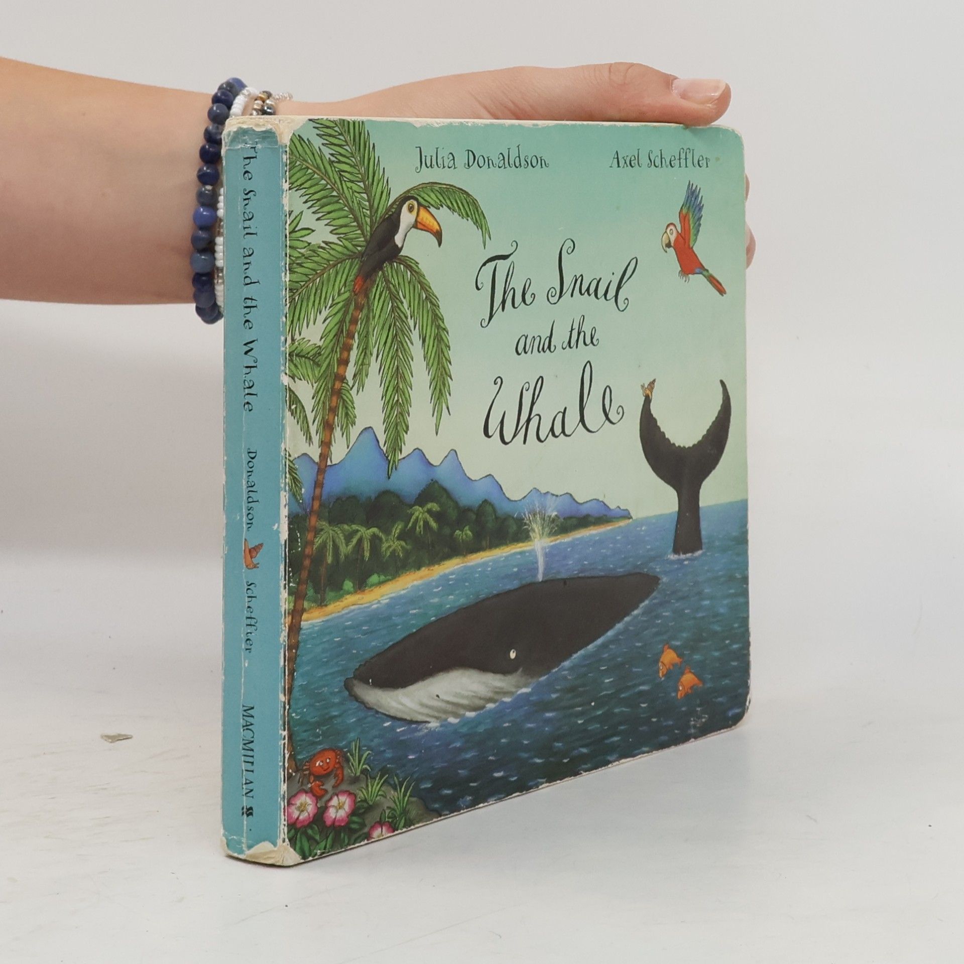 The Snail and the Whale