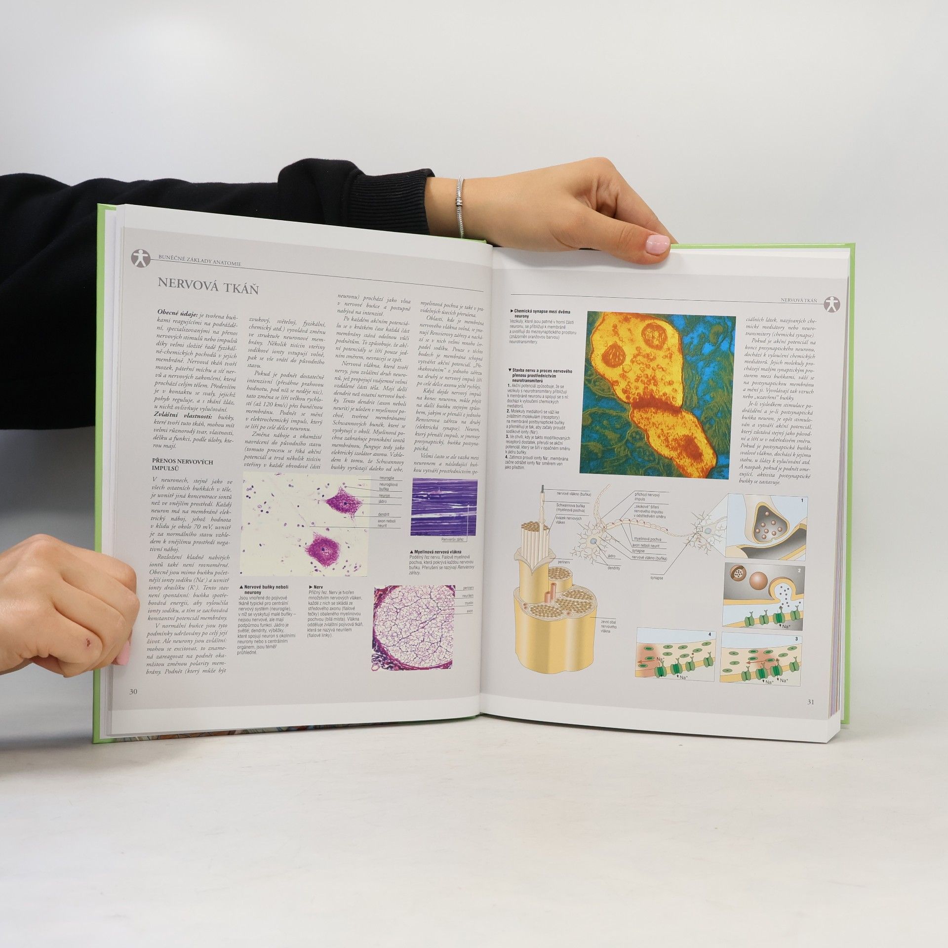 Adriana Rigutti Ilustrovaný atlas anatomie