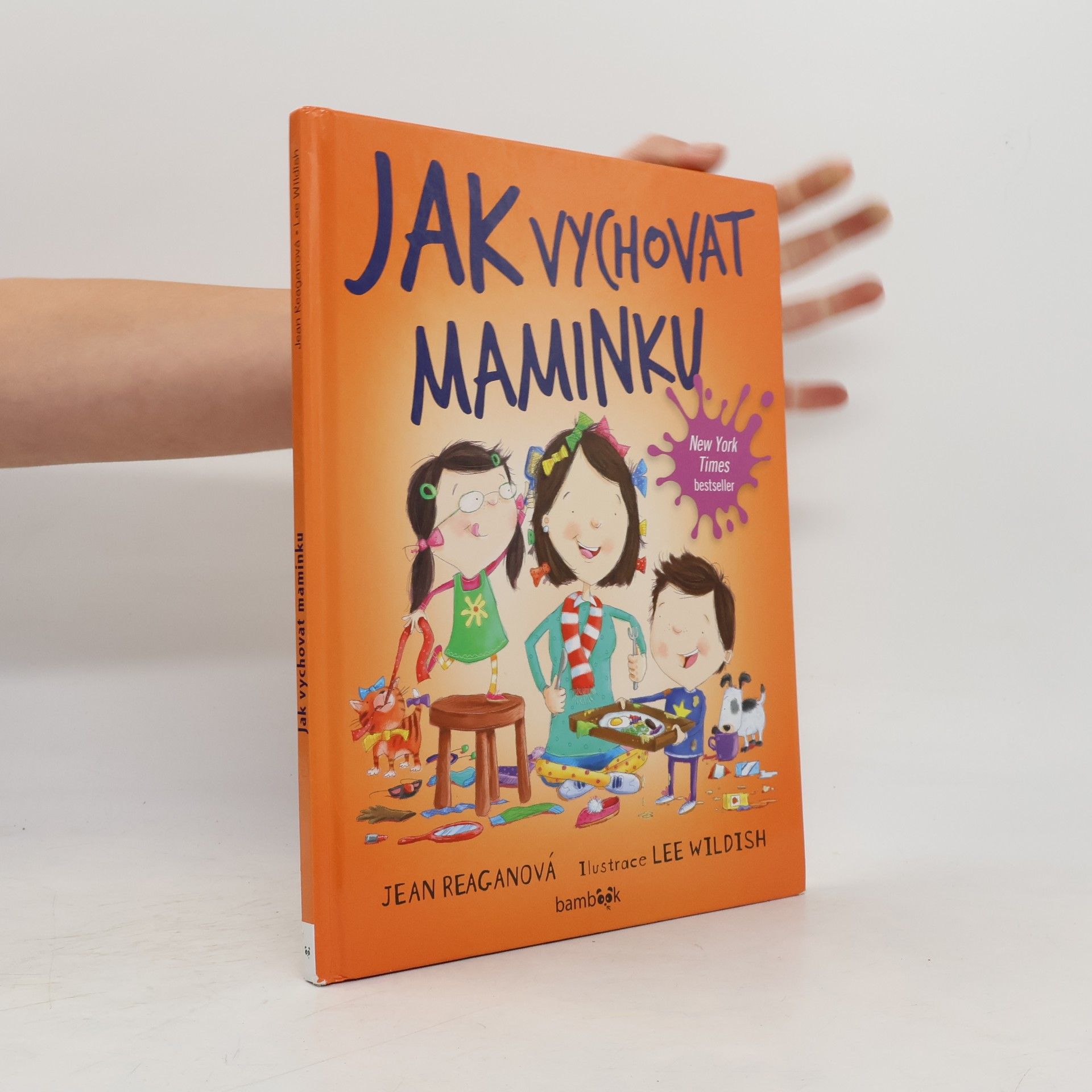 Jean Reagan Jak vychovat maminku
