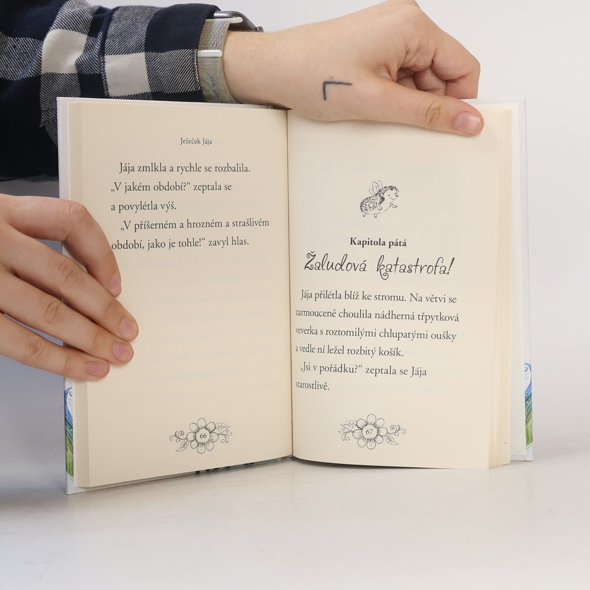 Lily Small Zvířátka z Kouzelného lesa. Ježeček Jája