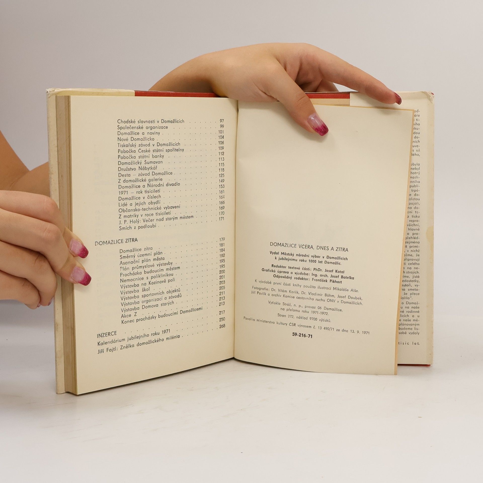 Autorenkollektiv Domažlice. Včera, dnes a zítra