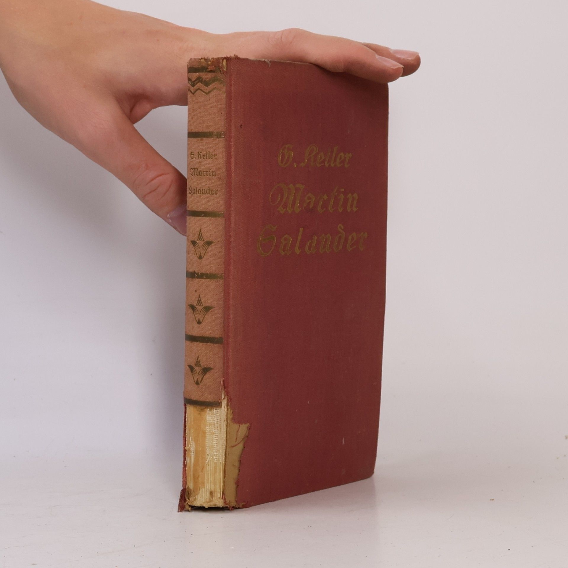 Gottfried Keller Martin Salander