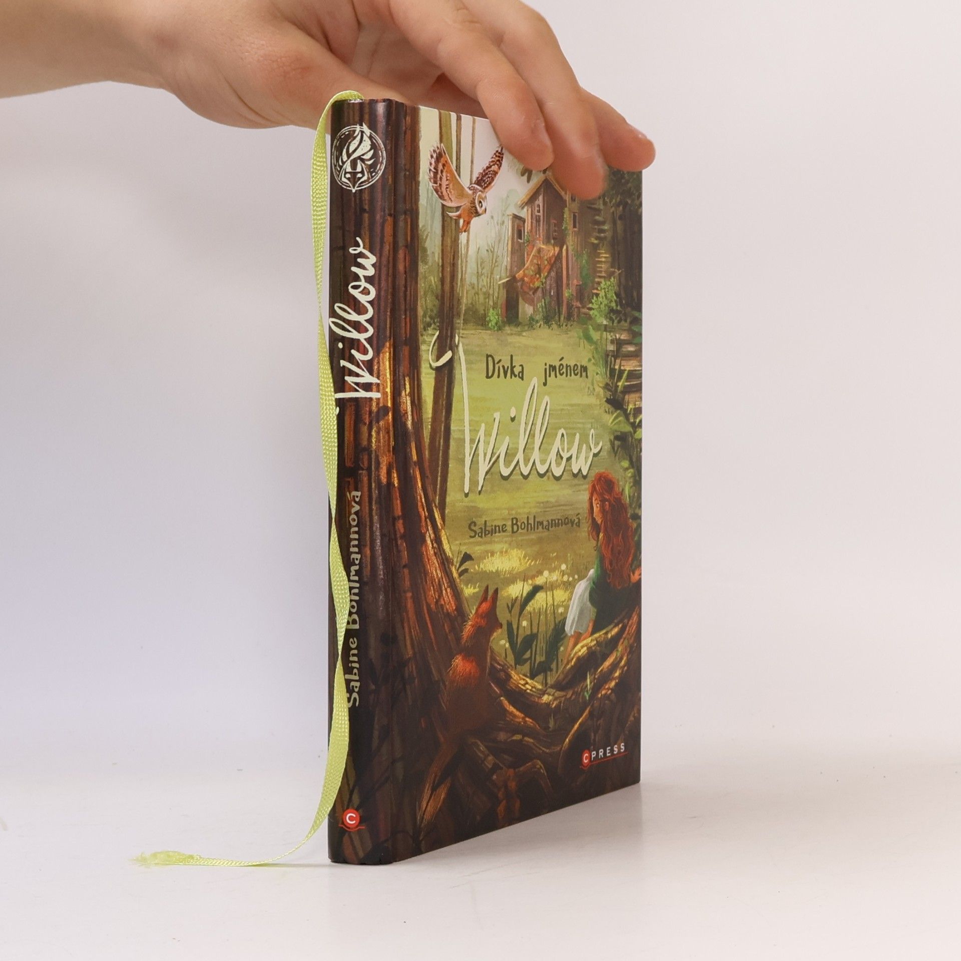 Sabine Bohlmann Dívka jménem Willow