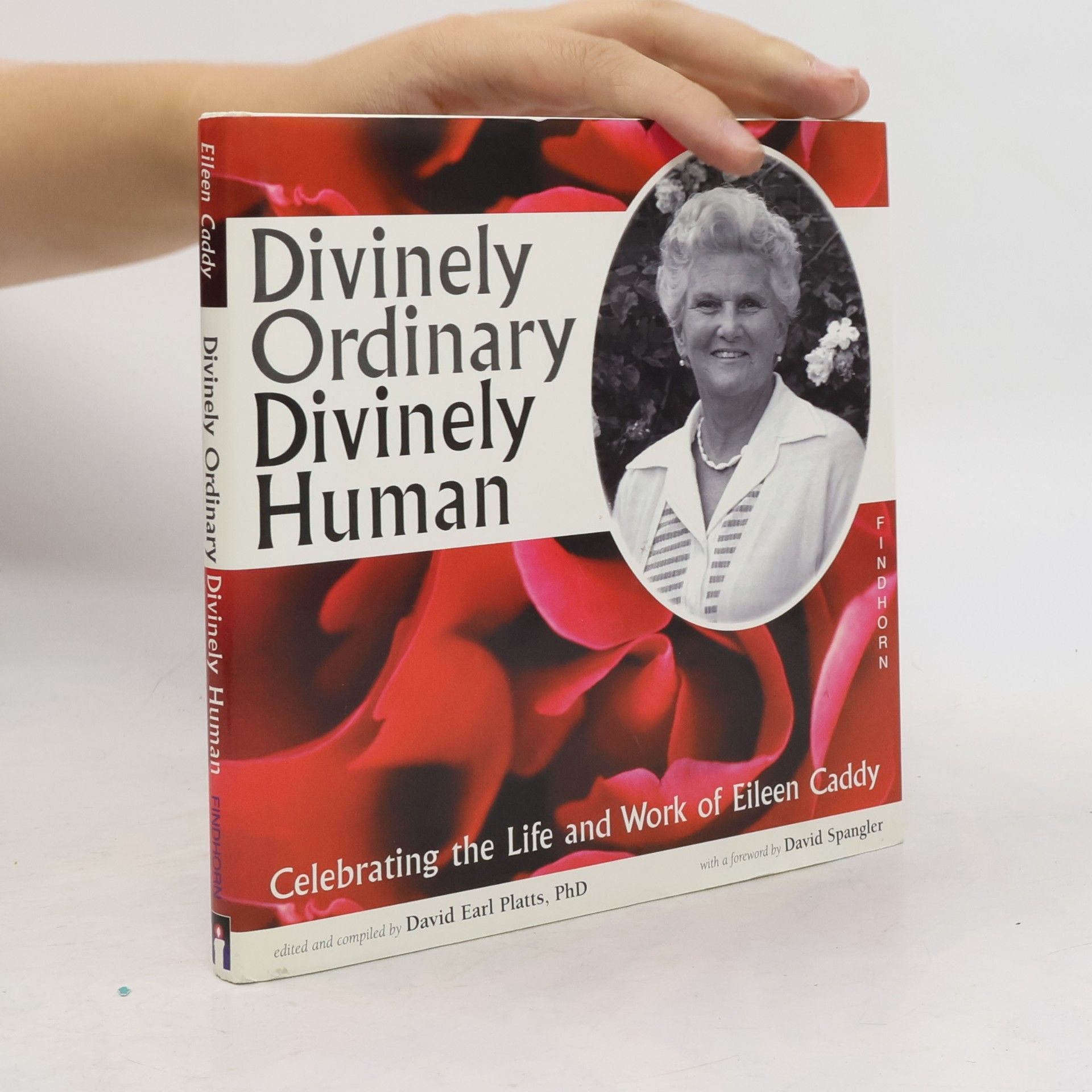 Ph.D. Platts Divinely Ordinary, Divinely Human
