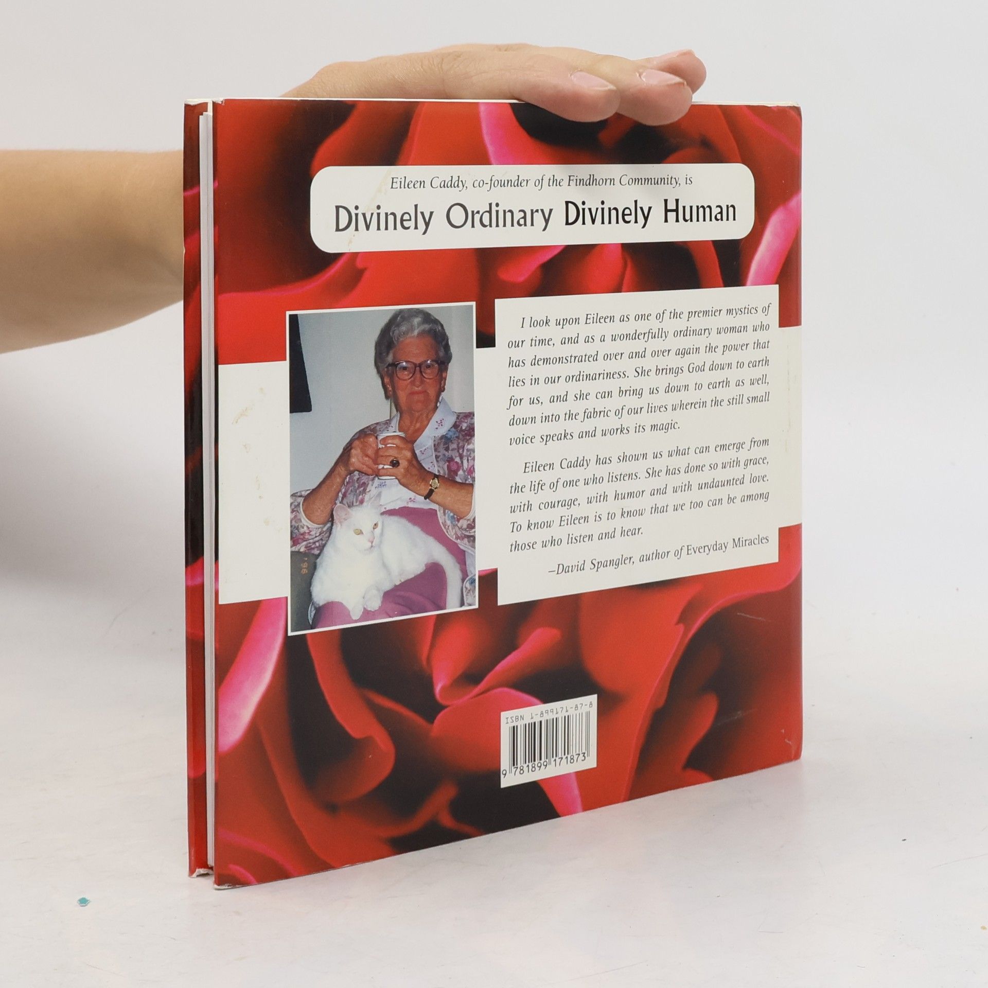 Ph.D. Platts Divinely Ordinary, Divinely Human