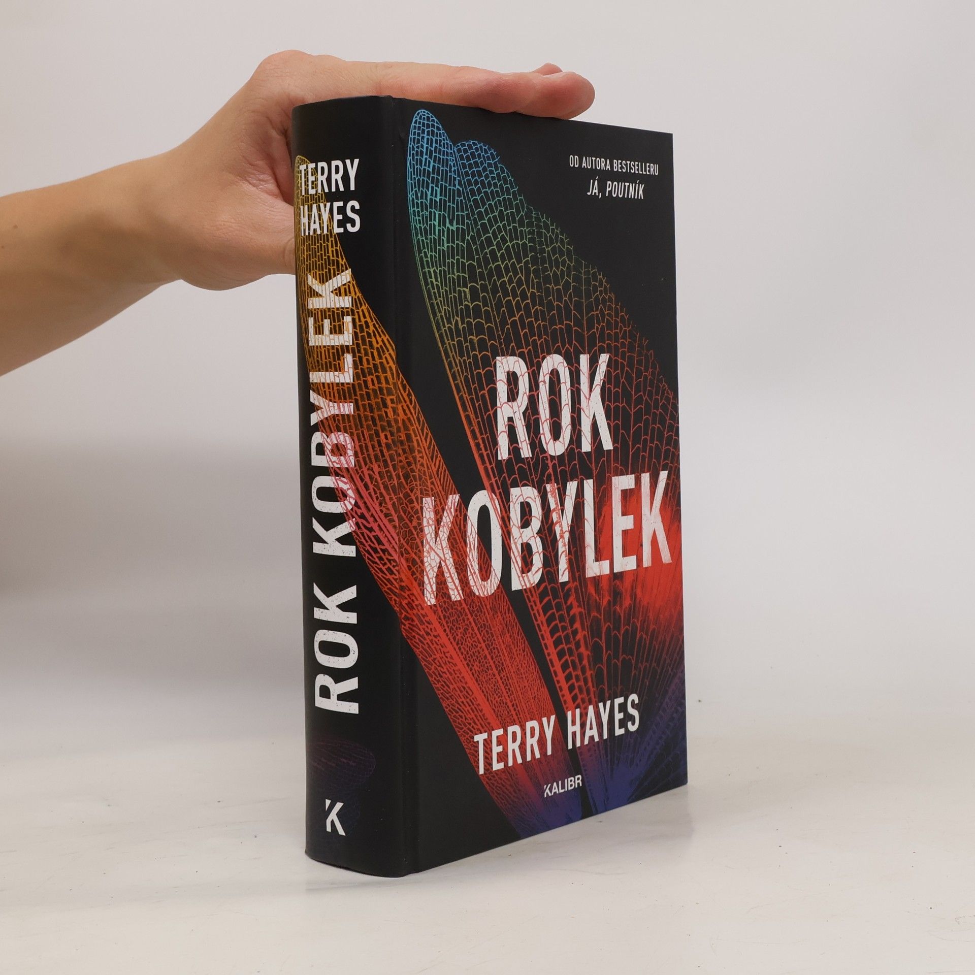 Terry Hayes Rok kobylek