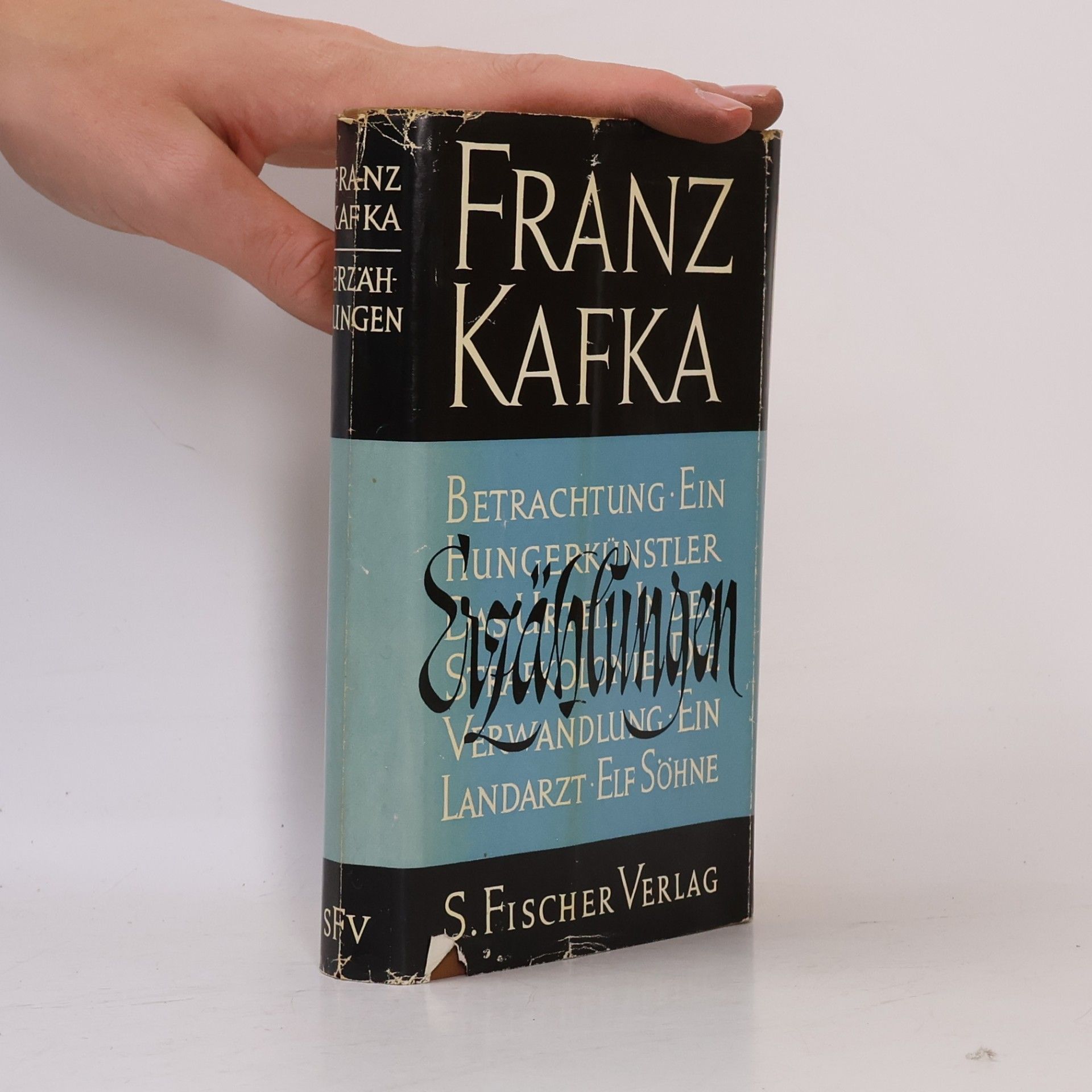 Franz Kafka Erzählungen