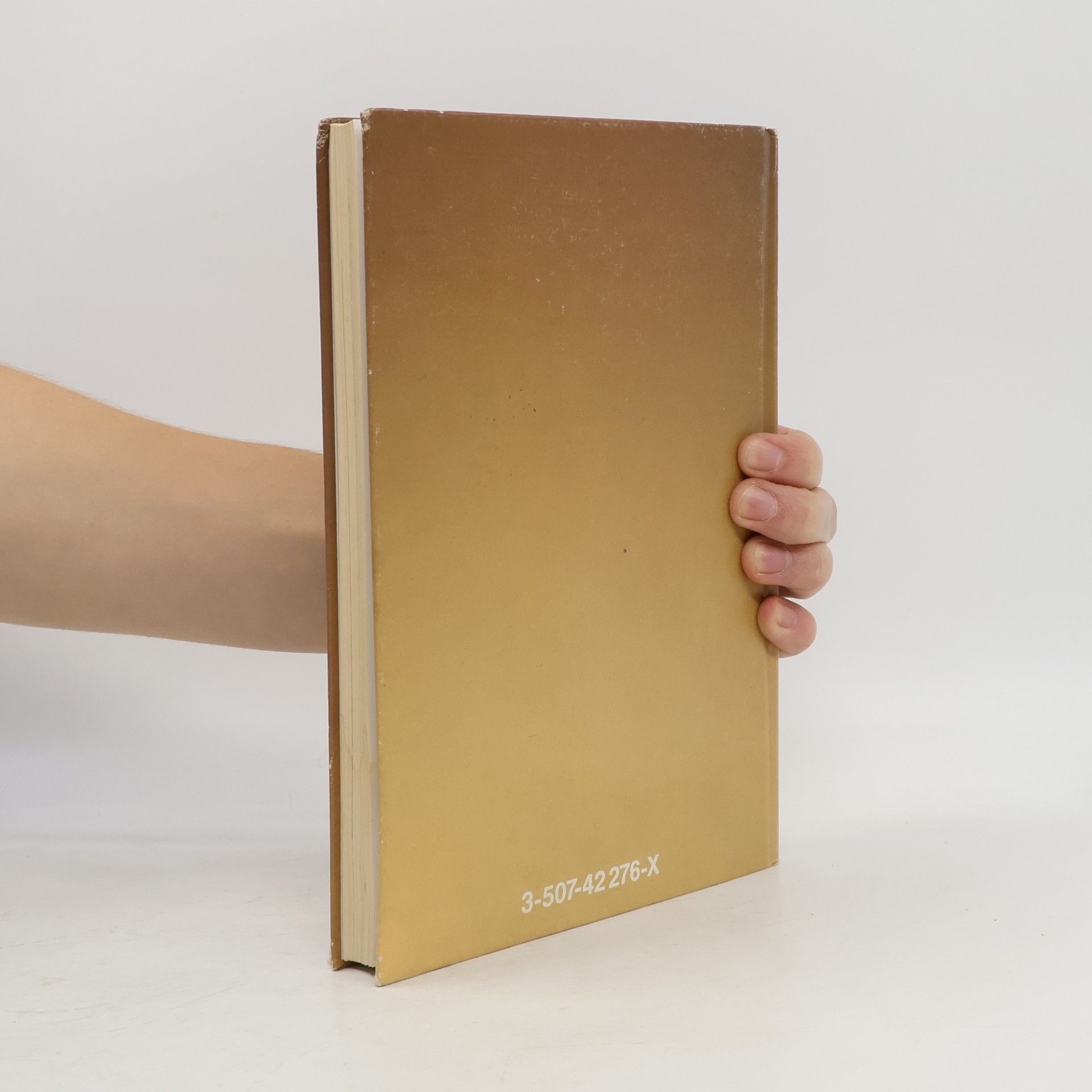 Treffpunkte - Lesebuch
