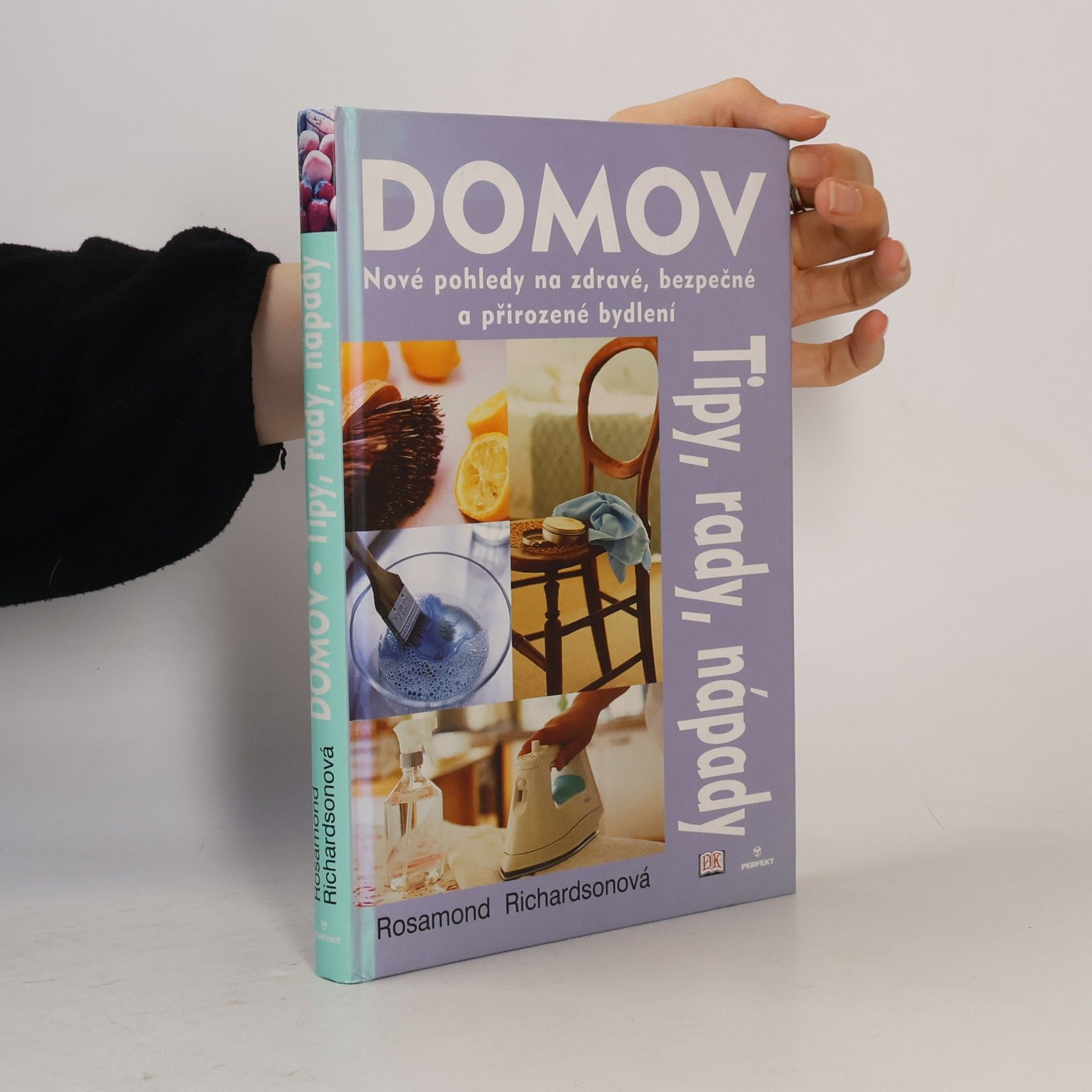 Russell Sadur Domov: Nové pohledy na zdravé, bezpečné a přirozené bydlení : tipy, rady, nápady