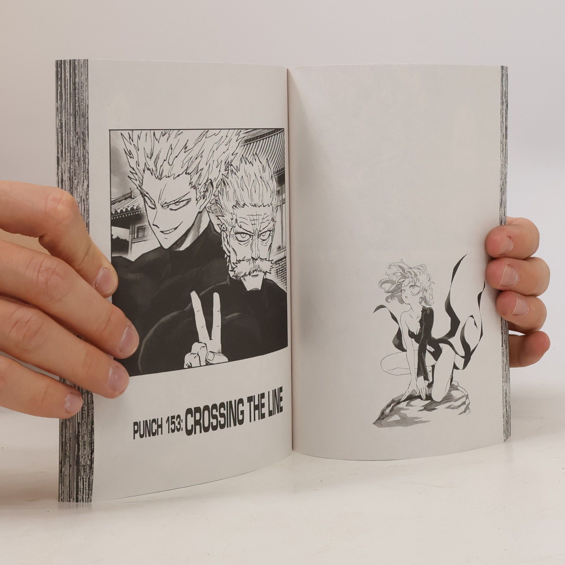 One One-Punch Man, Vol. 30
