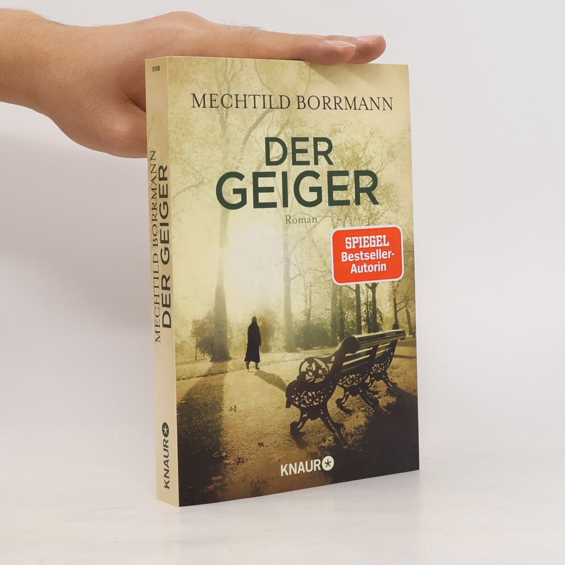 Mechtild Borrmann Der Geiger