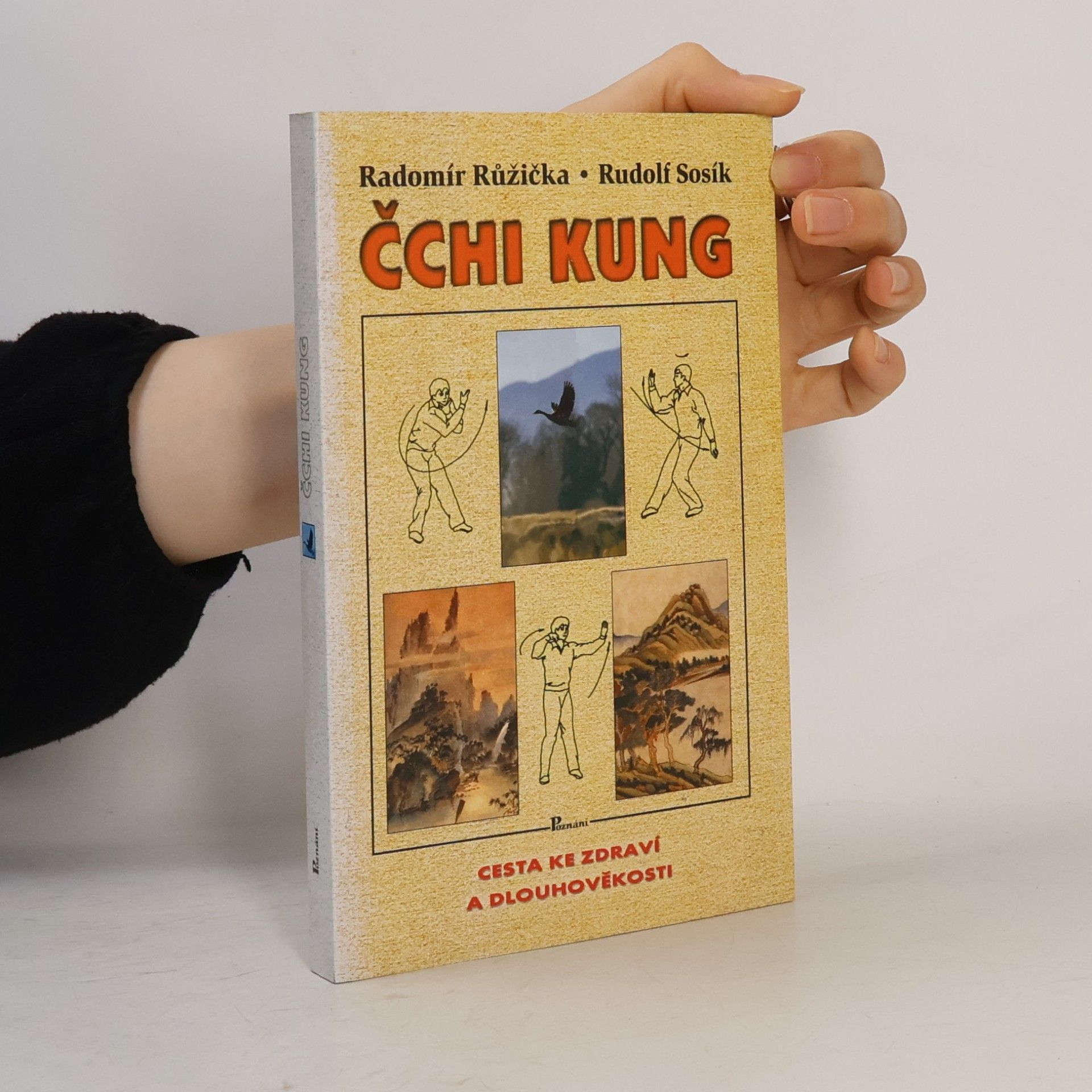 Rudolf Sosík Čchi kung : cesta ke zdraví a dlouhověkosti