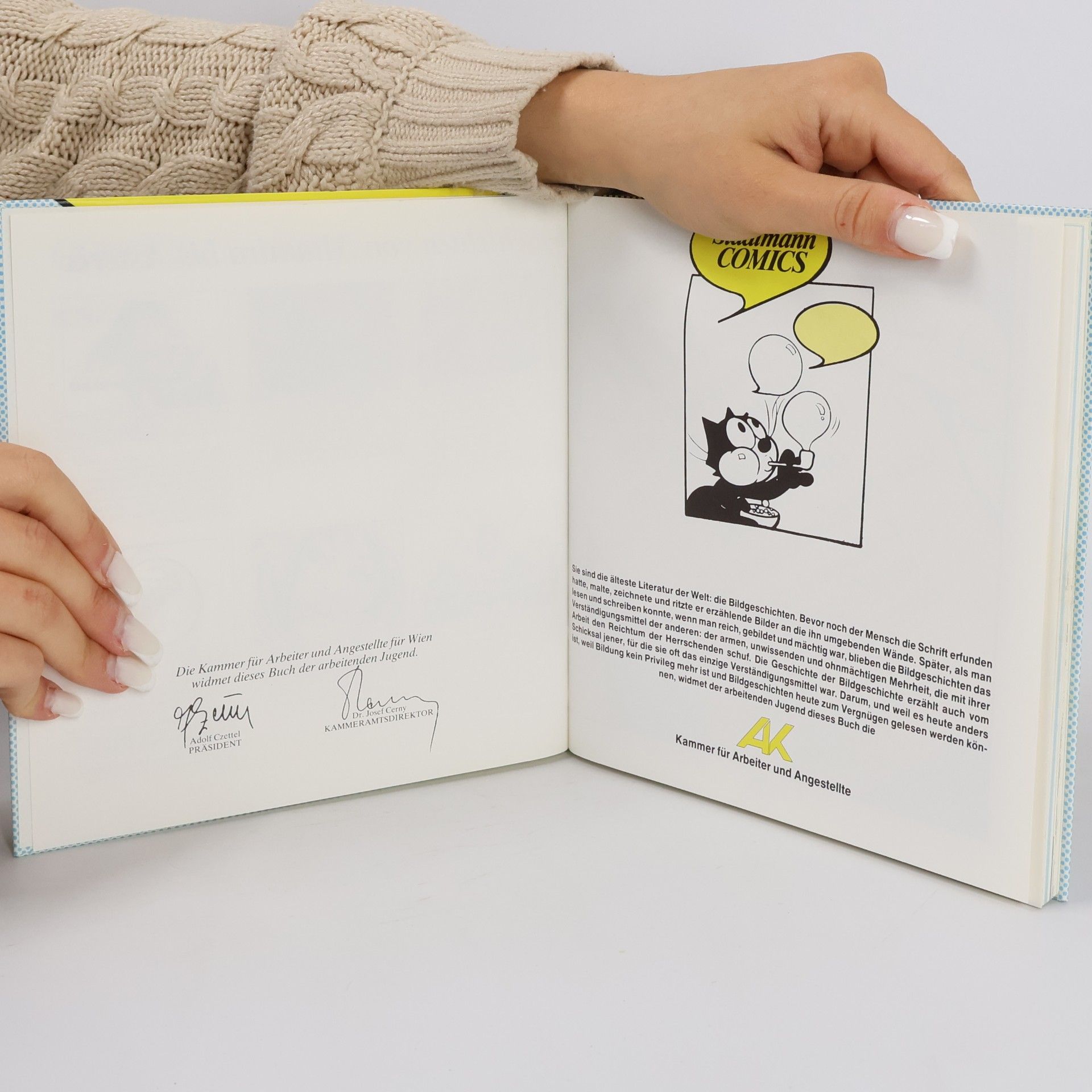 Stadlmann Comics