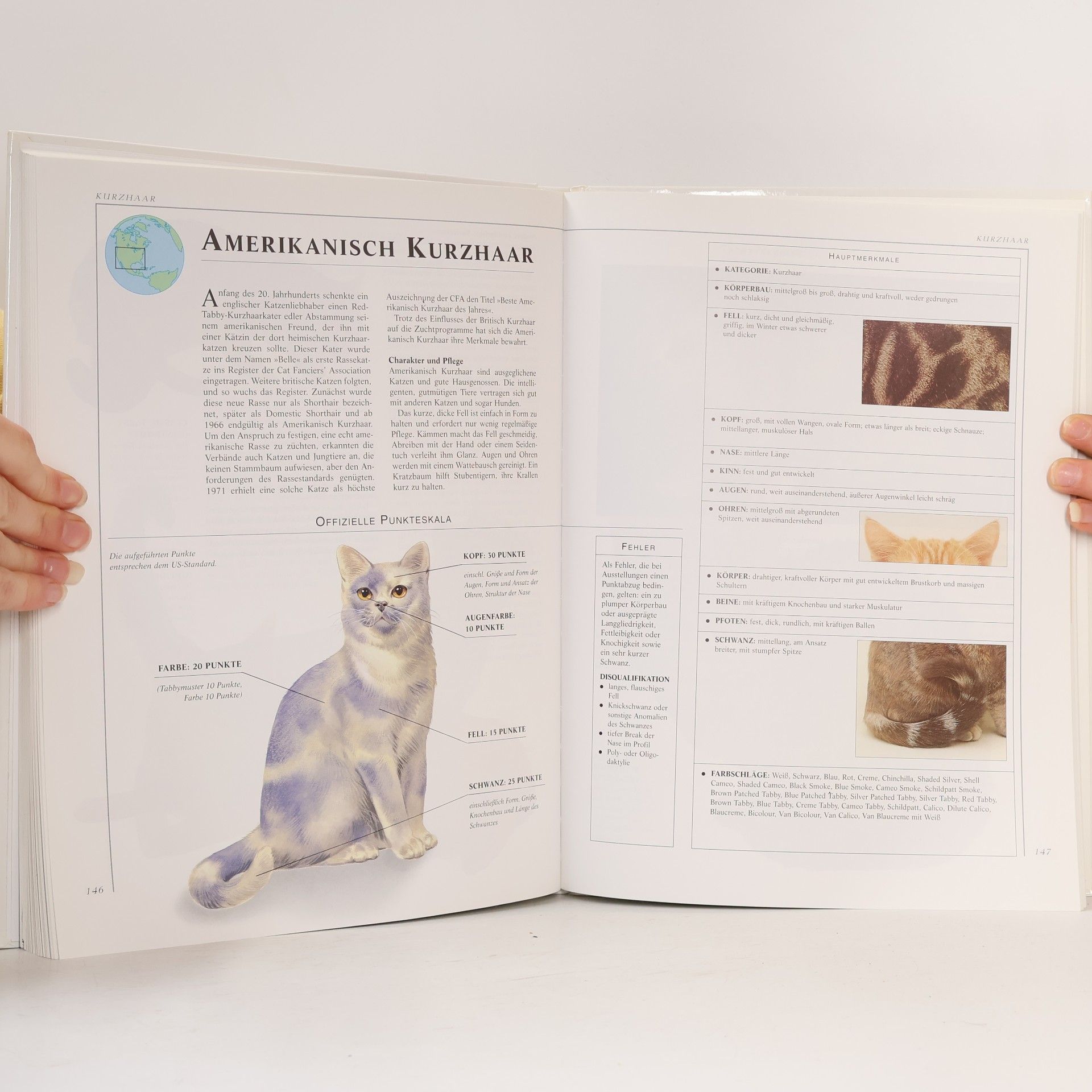 Angela Rixon Die farbige Enzyklopadie der Katzen