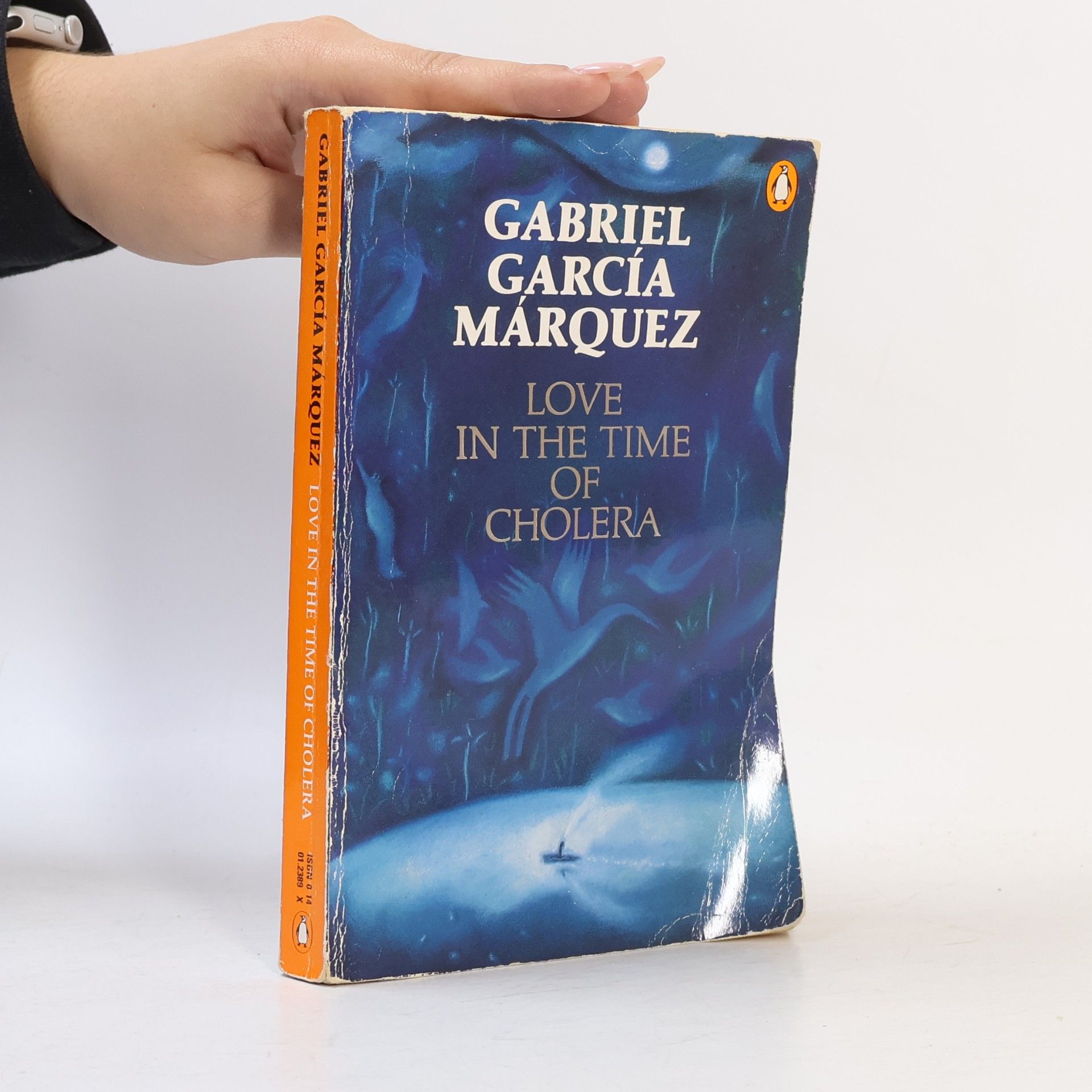 Love in the Time of Cholera