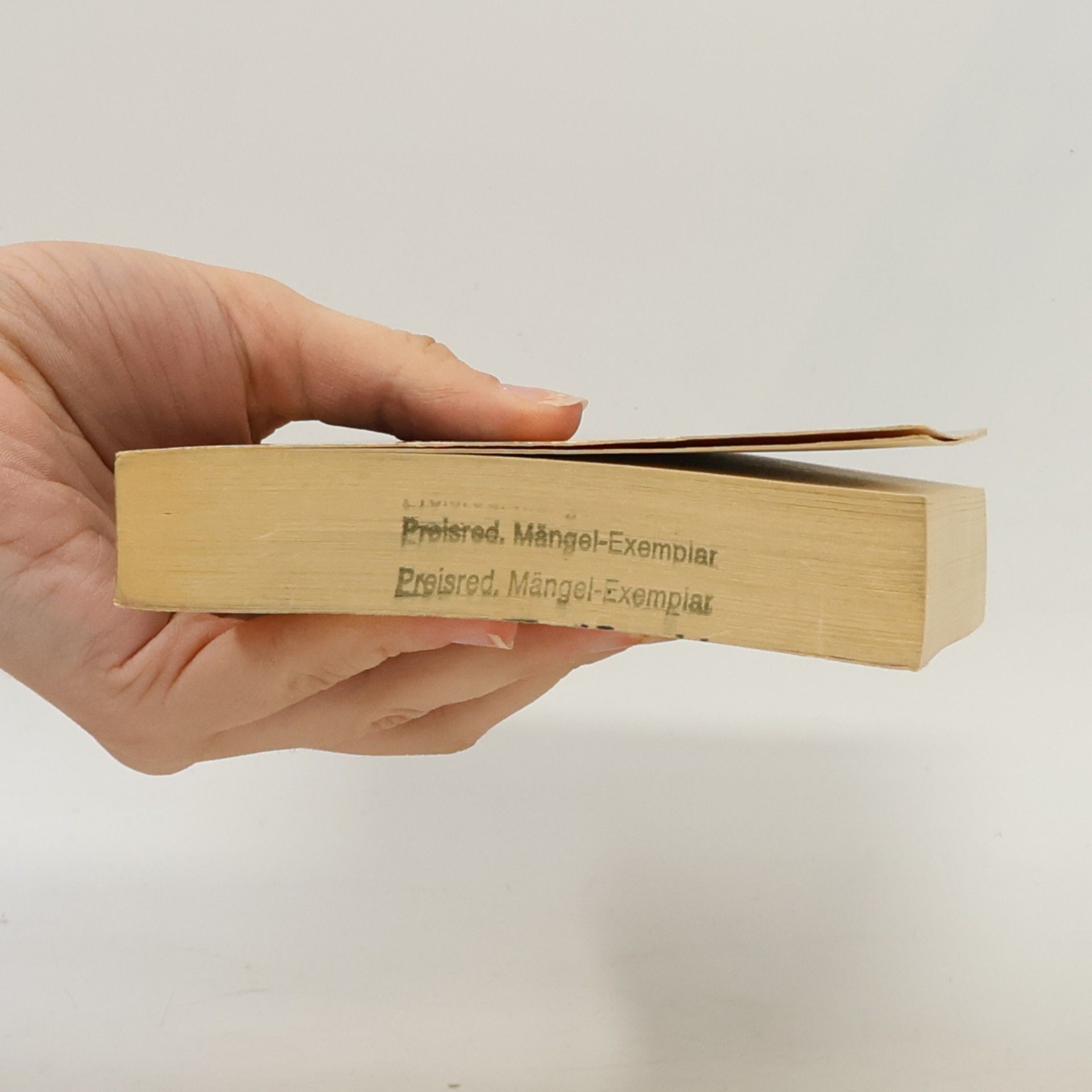 H. Rider Haggard Die Heilige Blume