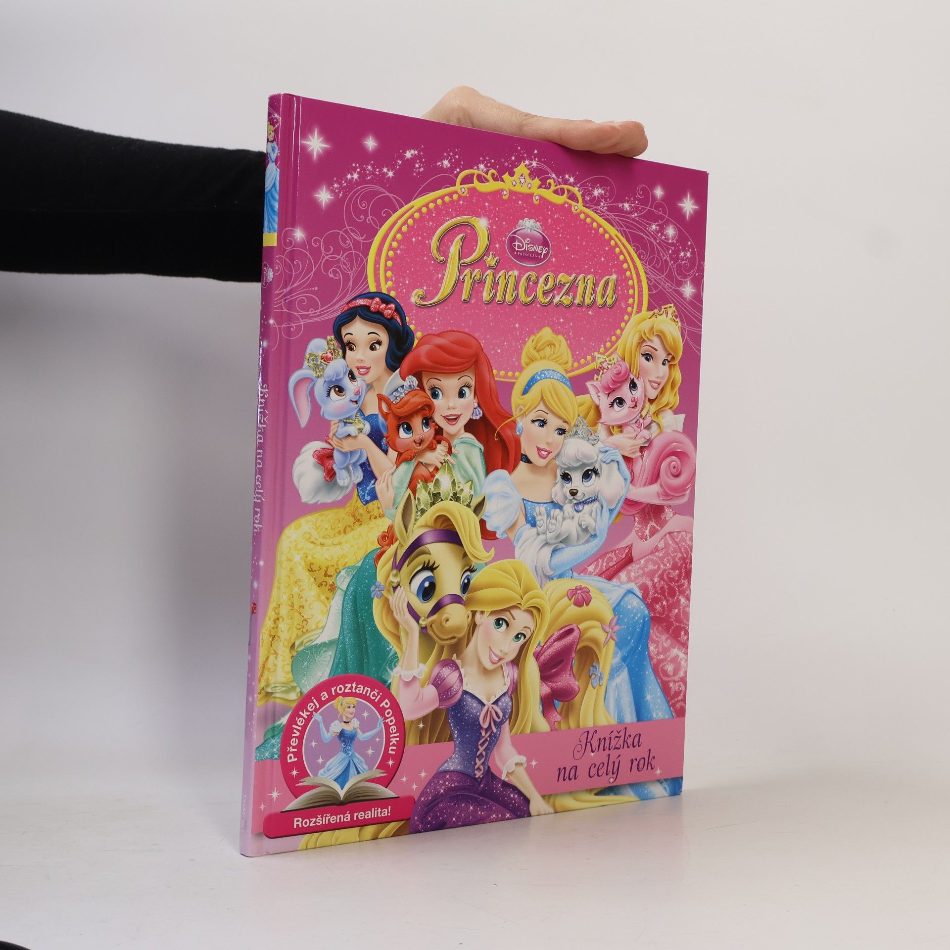 Kate Graham Princezna : knížka na celý rok