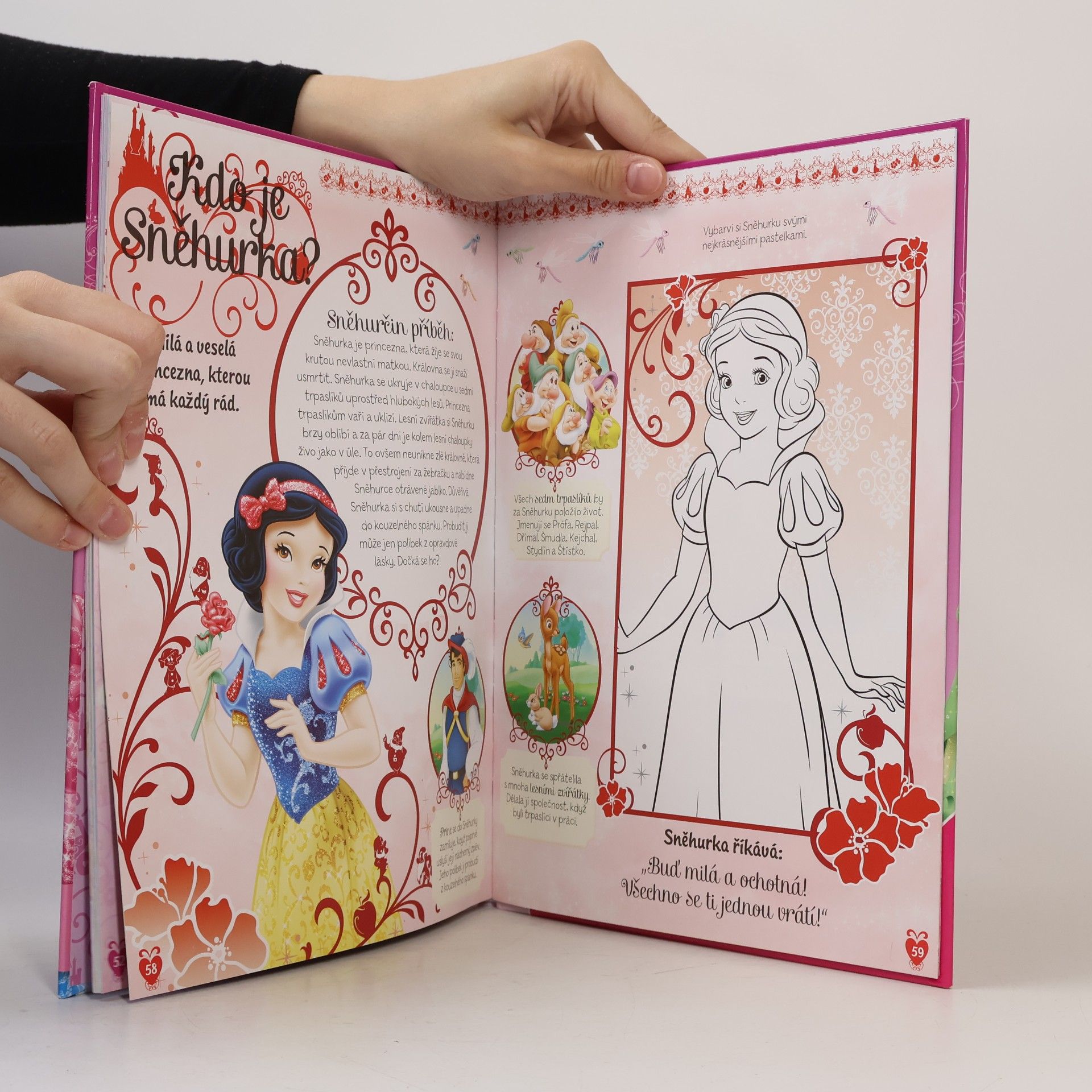Kate Graham Princezna : knížka na celý rok