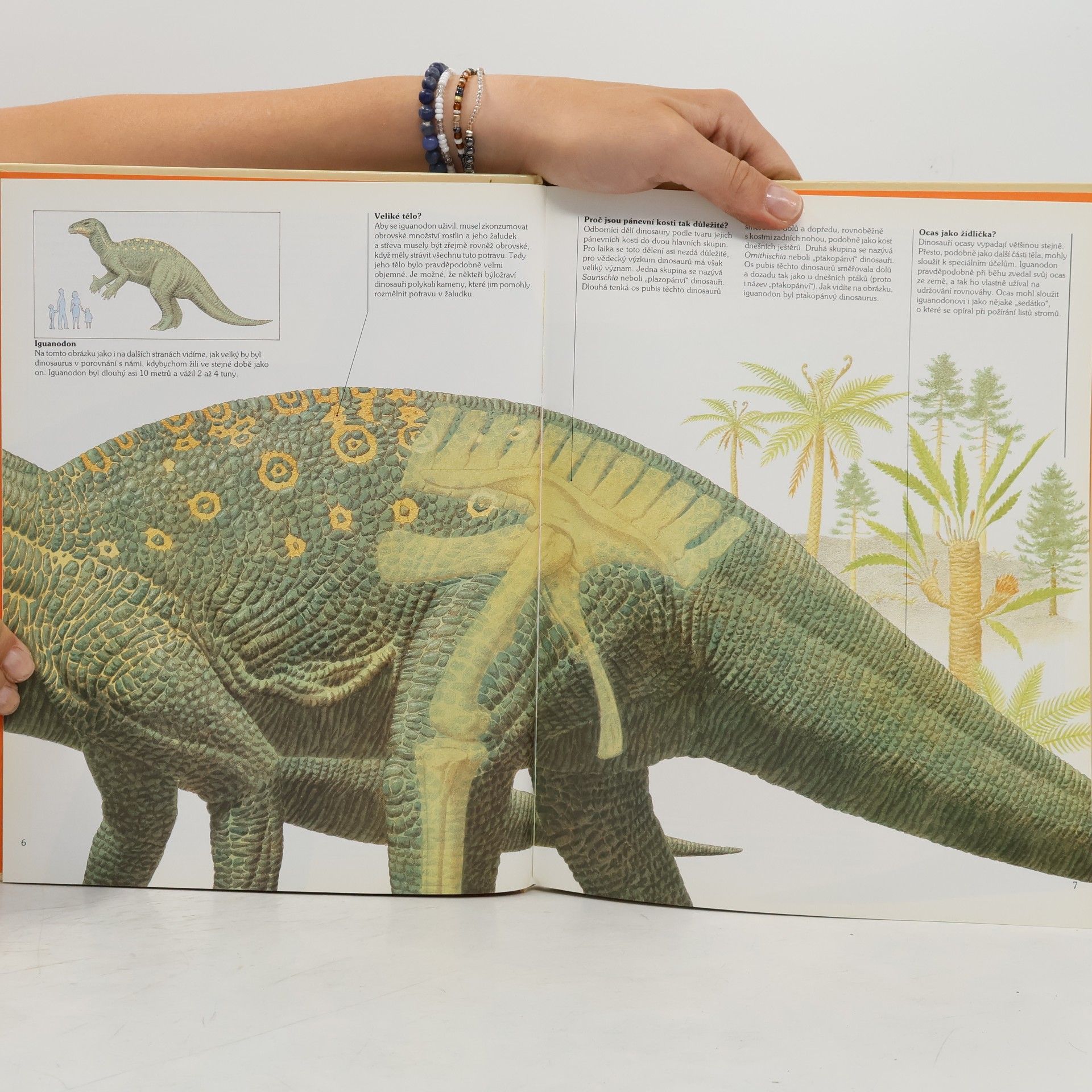 Steve Parker Jak žili dinosauři