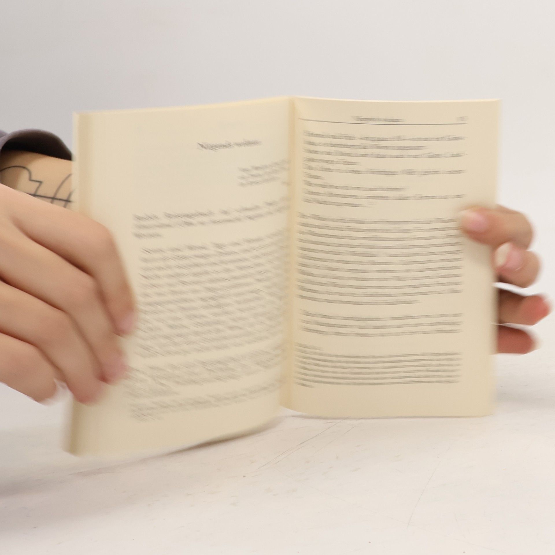 Byung-Chul Han Philosophie des Zen-Buddhismus