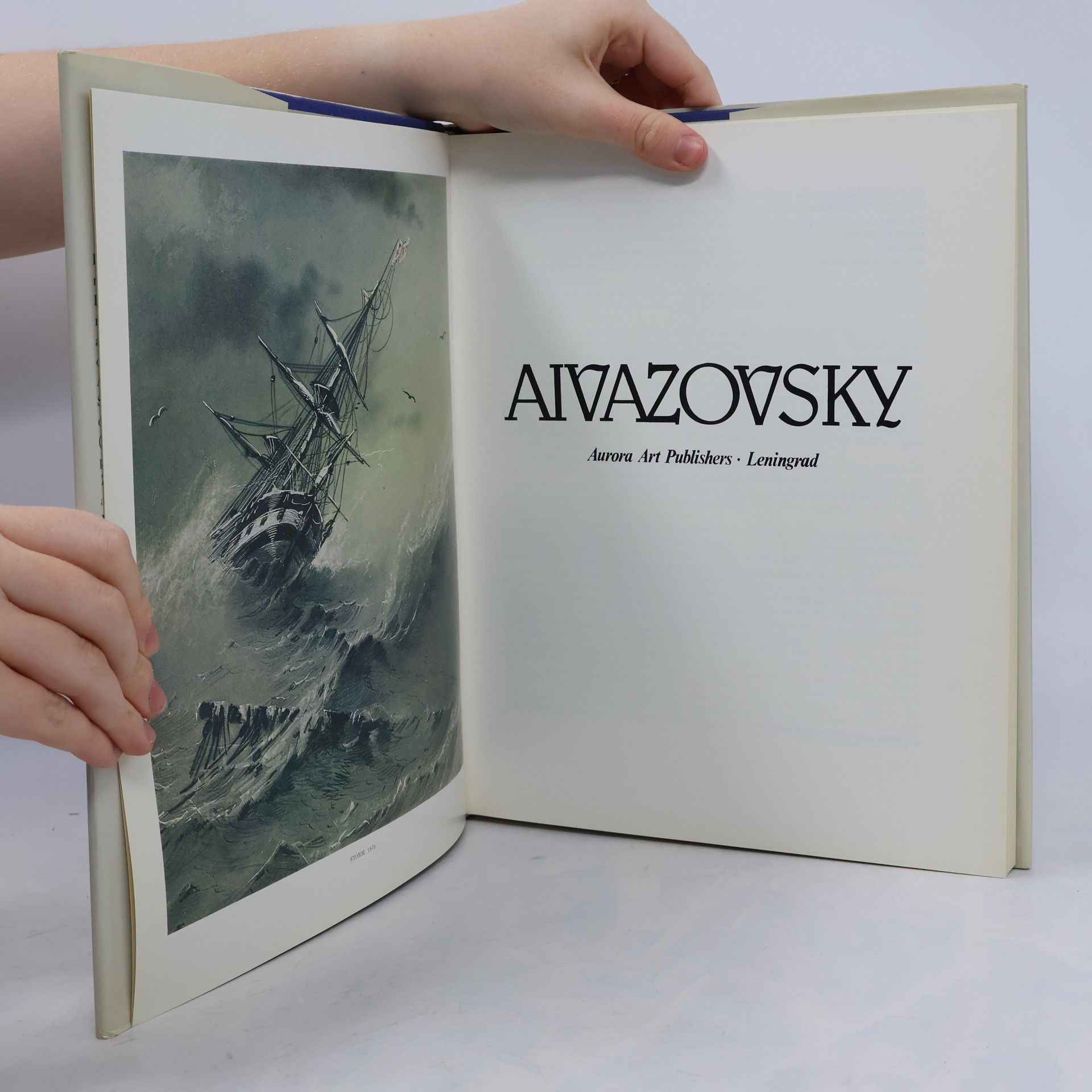 Kolektiv autorů Aivazovsky
