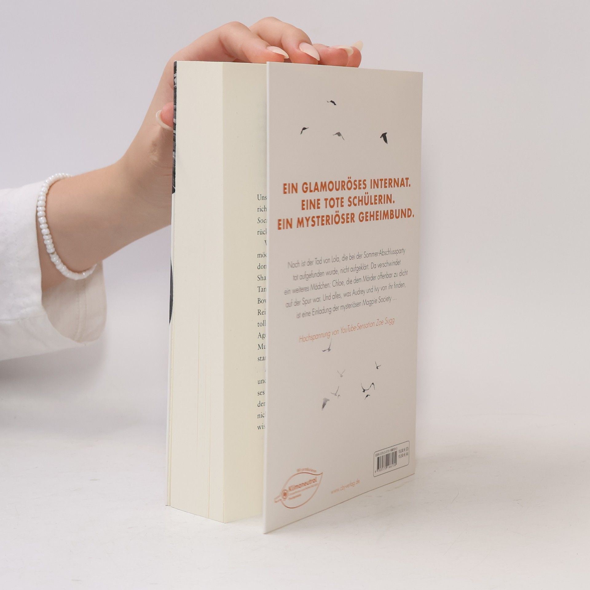 Amy McCulloch The Magpie Society - Aller bösen Dinge sind drei