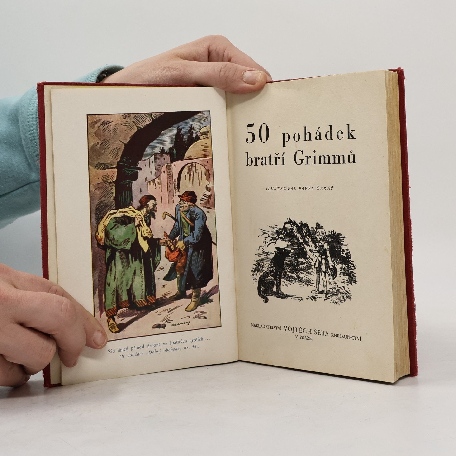 bratři Grimmové 50 pohádek bratří Grimmů
