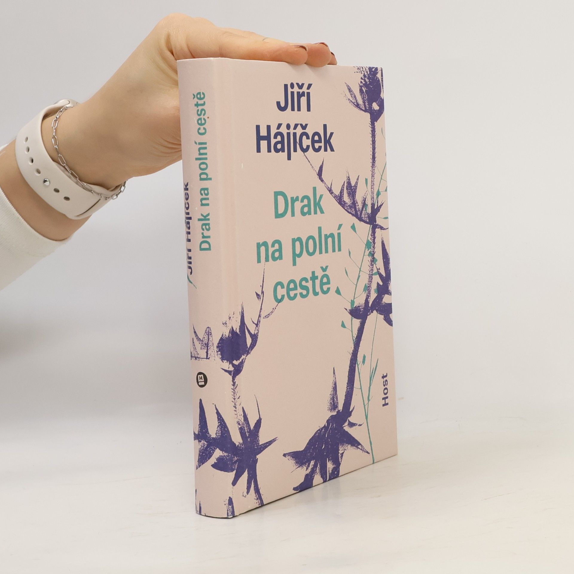 Jiří Hájíček Drak na polní cestě