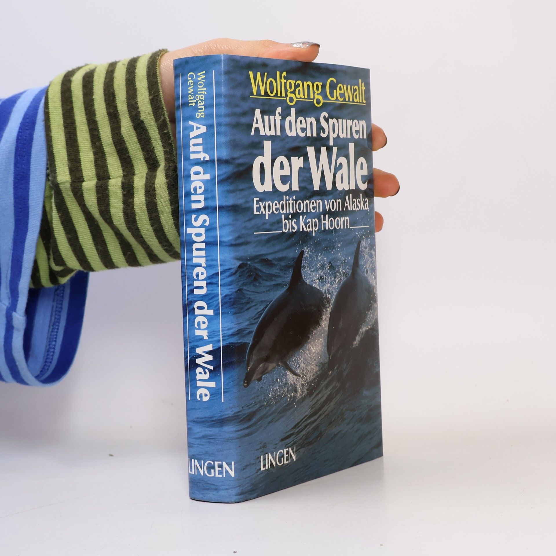 Auf den Spuren der Wale