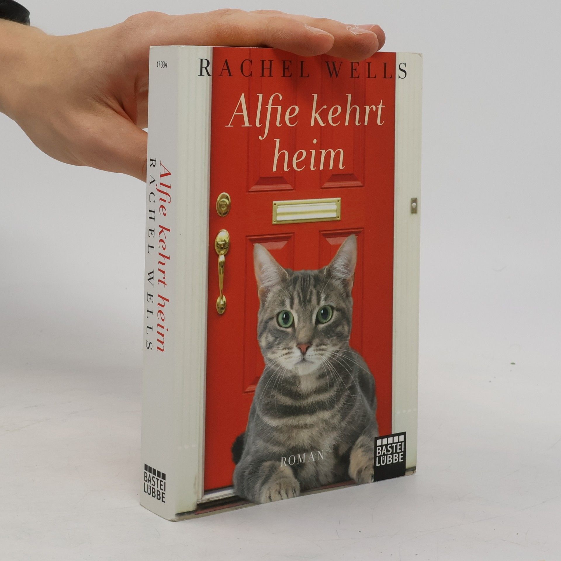 Rachel Wells Alfie kehrt heim